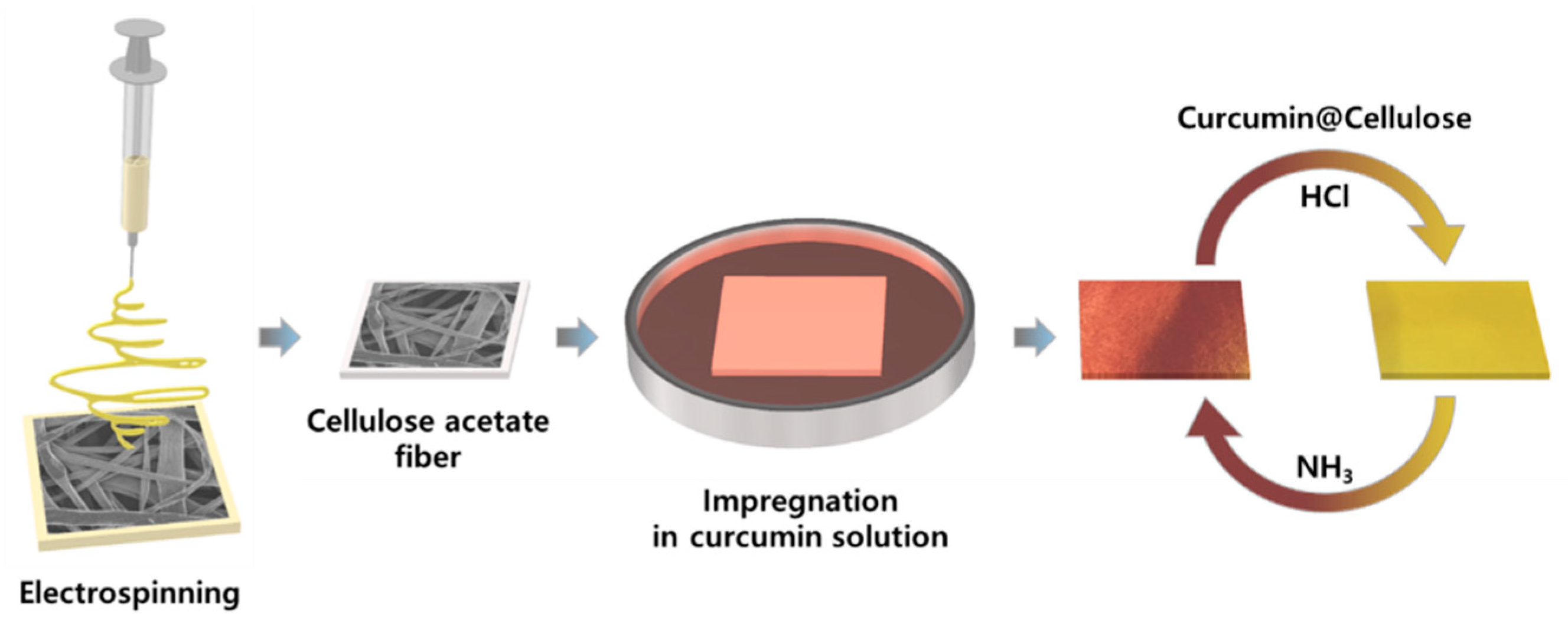 Nanomaterials 11 00222 g001 Nanomaterials 11 00222 g001