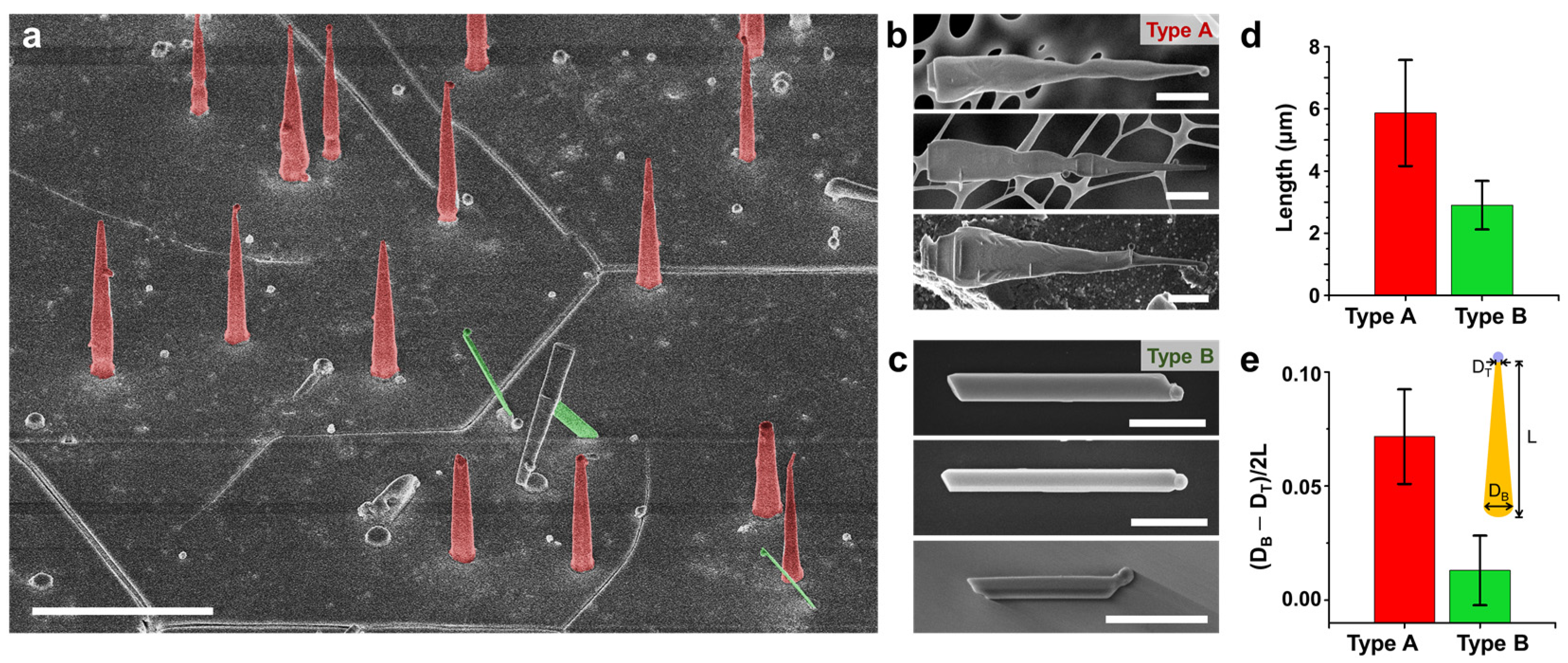 Nanomaterials 11 00223 g001