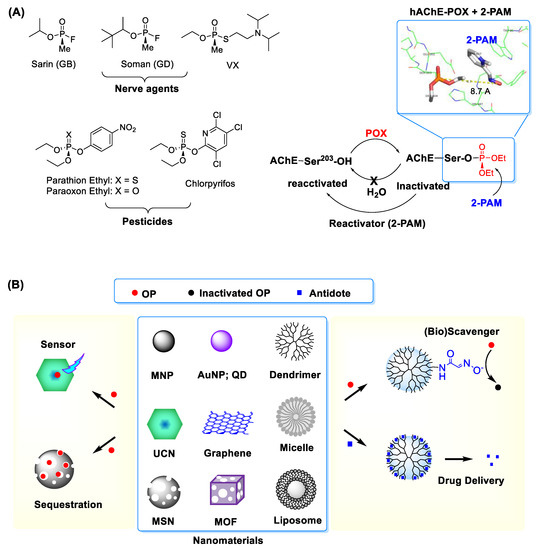 Nanomaterials 11 00224 g001 550