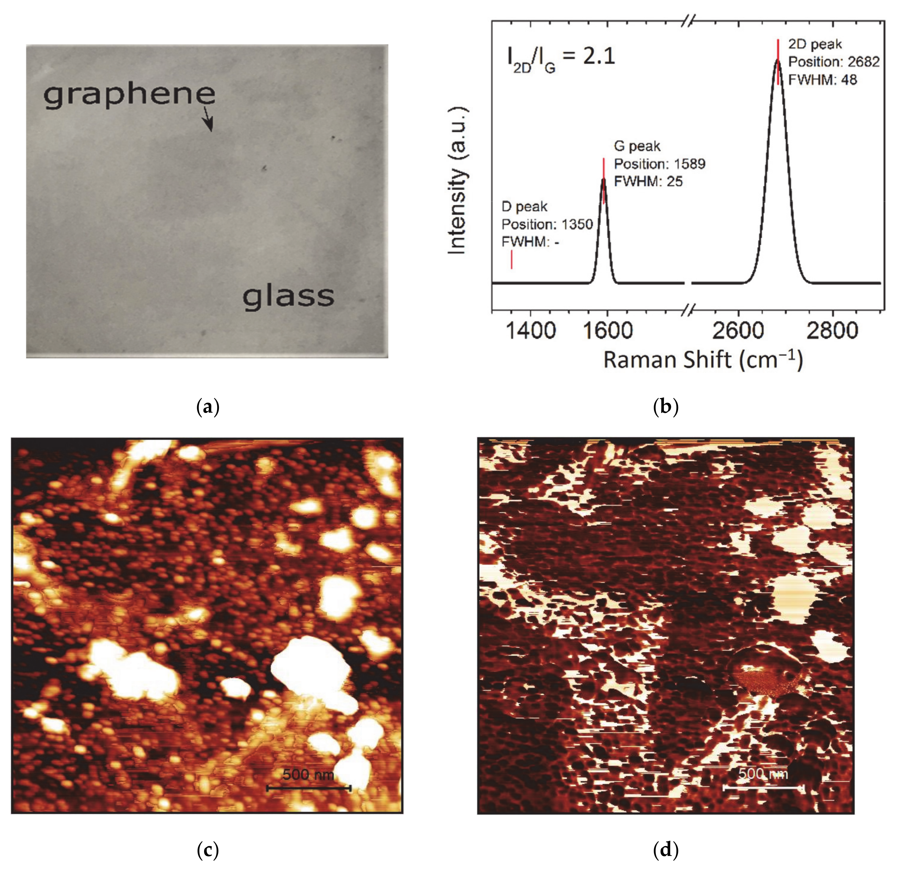 Nanomaterials 11 00226 g001