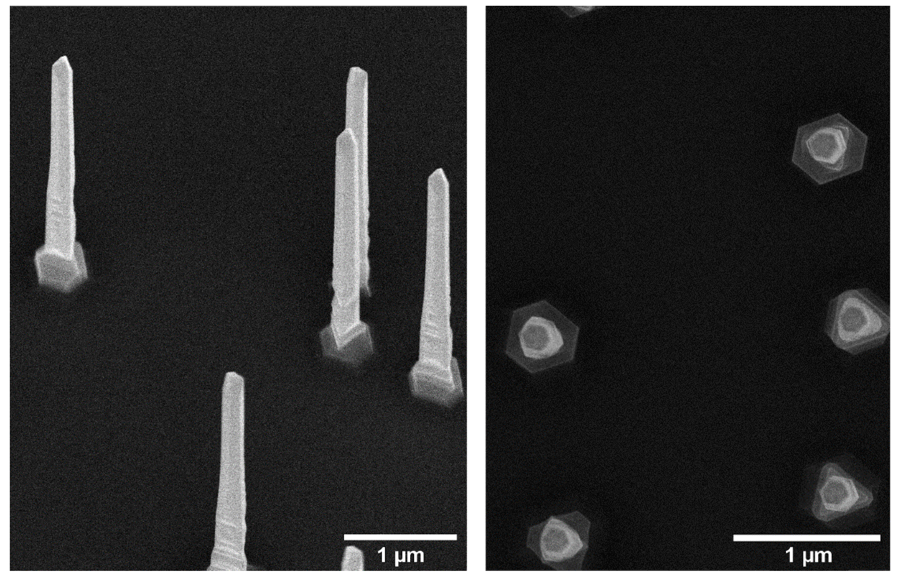 Nanomaterials 11 00227 g001 Nanomaterials 11 00227 g001