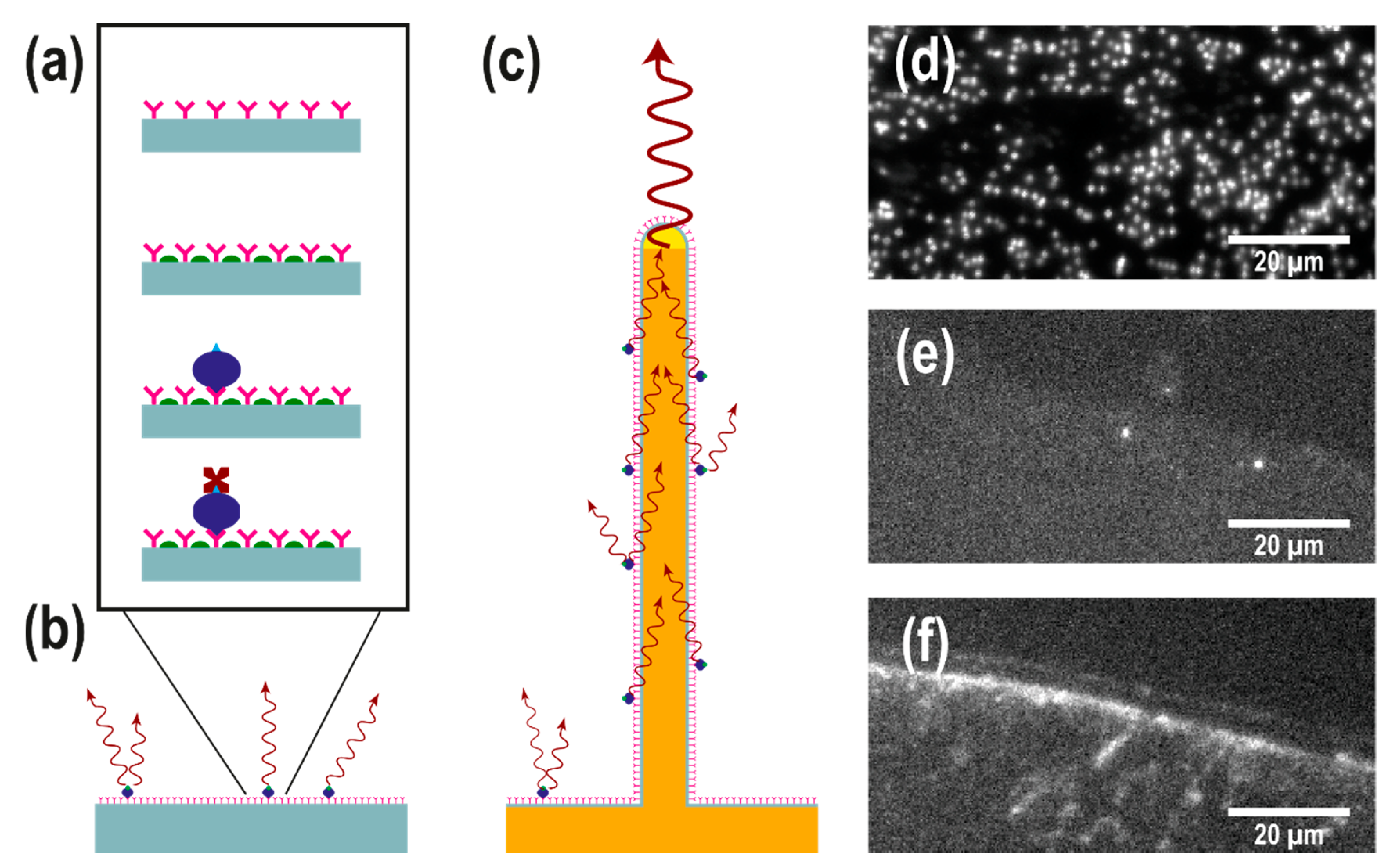 Nanomaterials 11 00227 g002 Nanomaterials 11 00227 g002