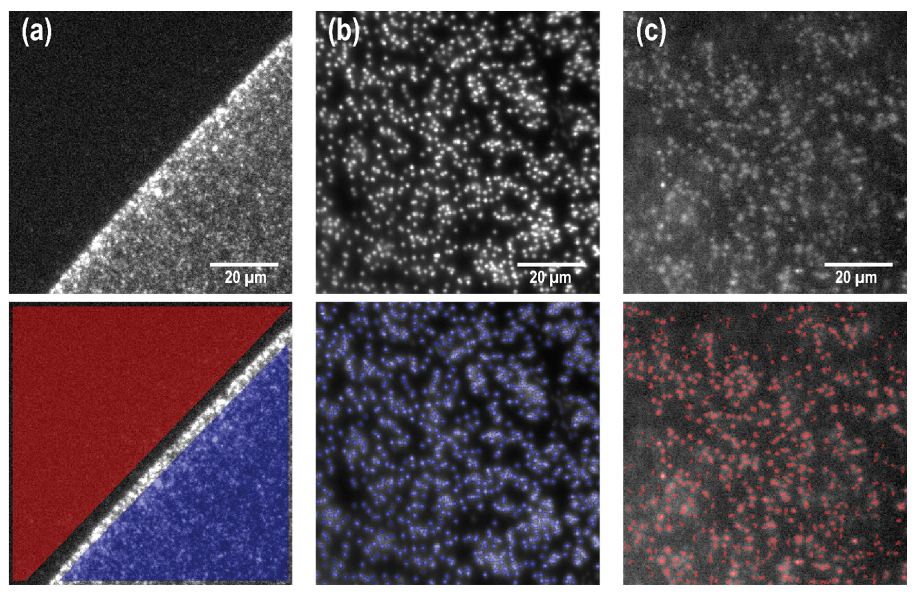 Nanomaterials 11 00227 g003 Nanomaterials 11 00227 g003