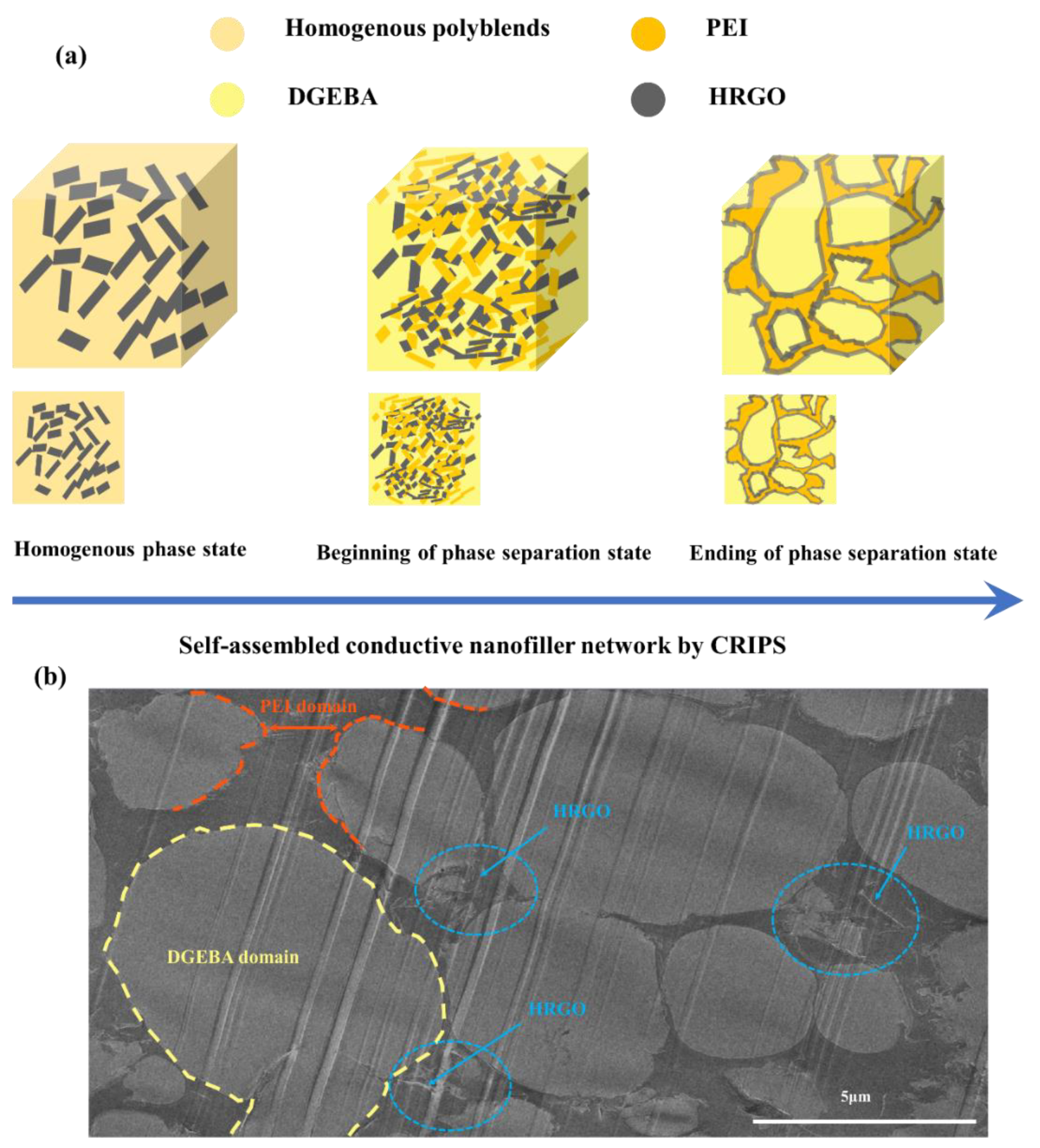 Nanomaterials 11 00228 g006 Nanomaterials 11 00228 g006