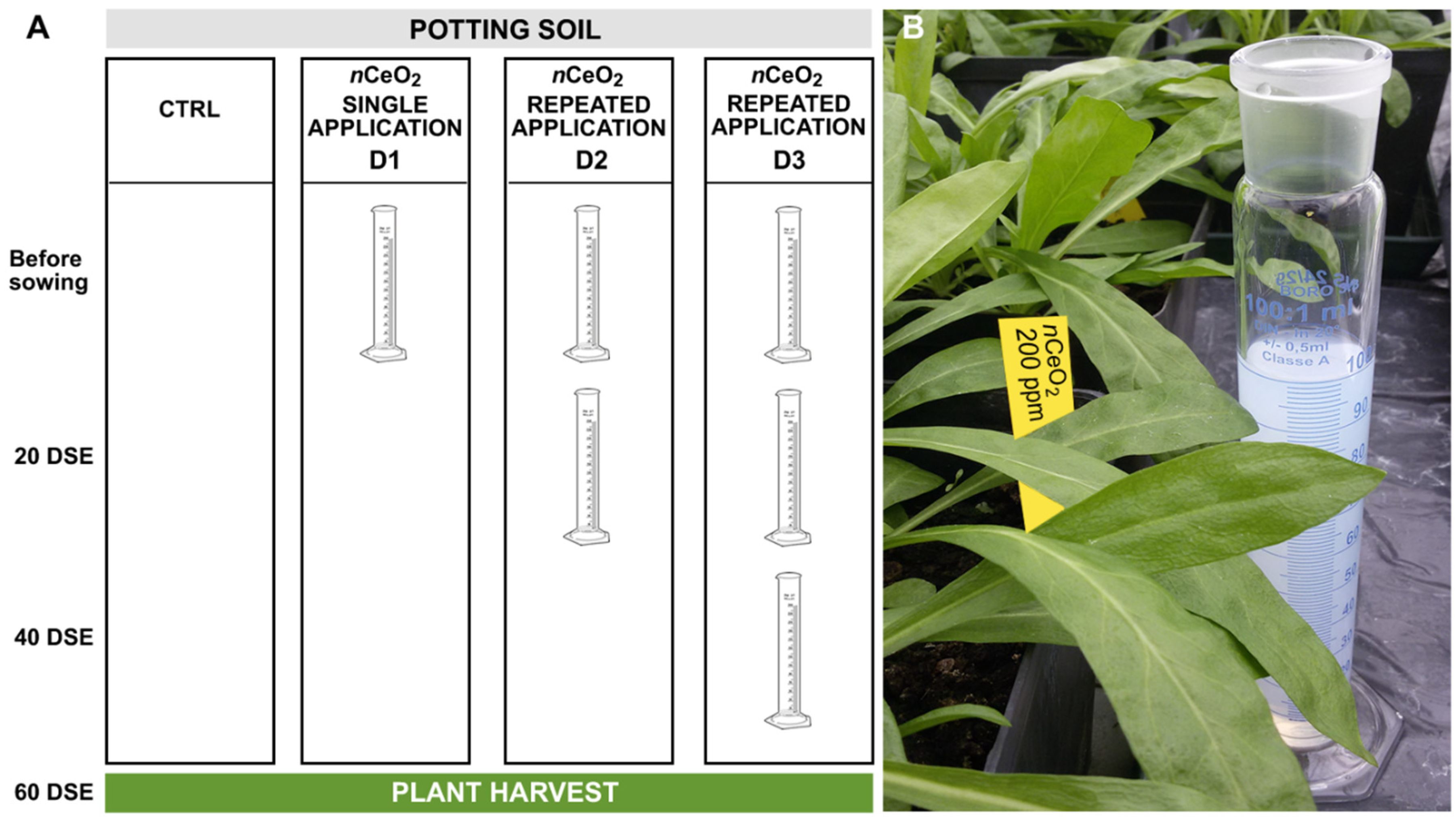 Nanomaterials 11 00229 g001 Nanomaterials 11 00229 g001