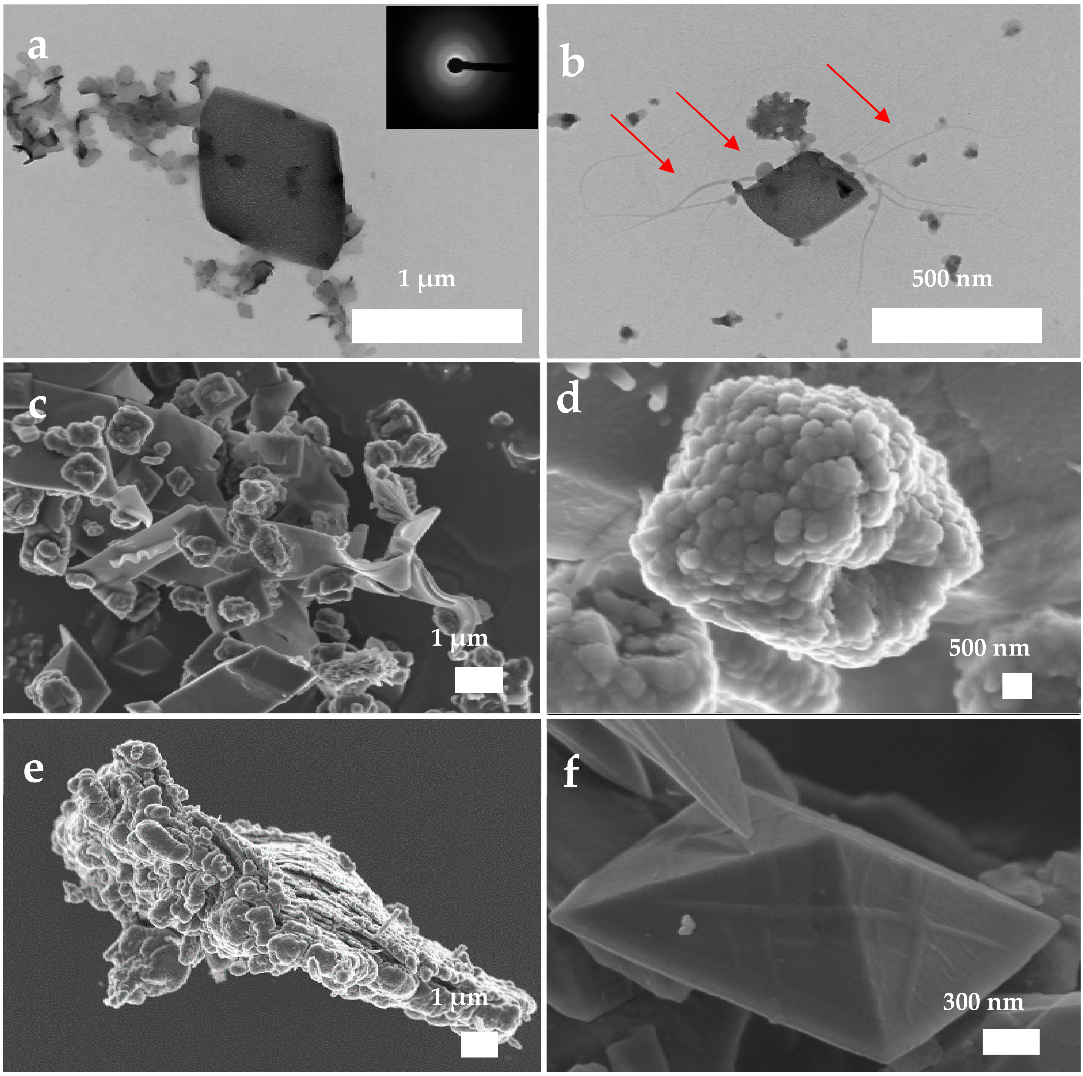 Nanomaterials 11 00235 g008 Nanomaterials 11 00235 g008