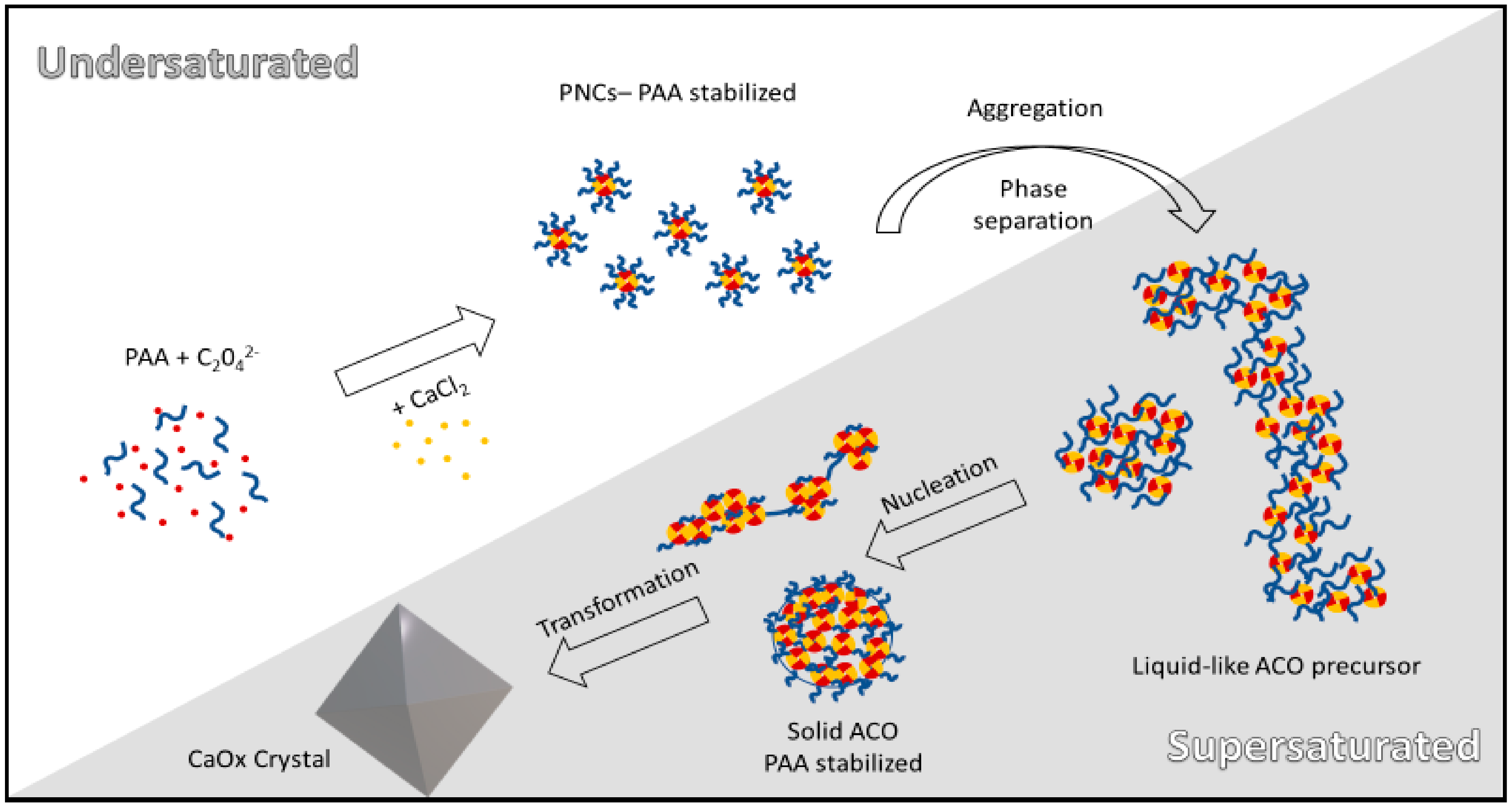 Nanomaterials 11 00235 sch001 Nanomaterials 11 00235 sch001