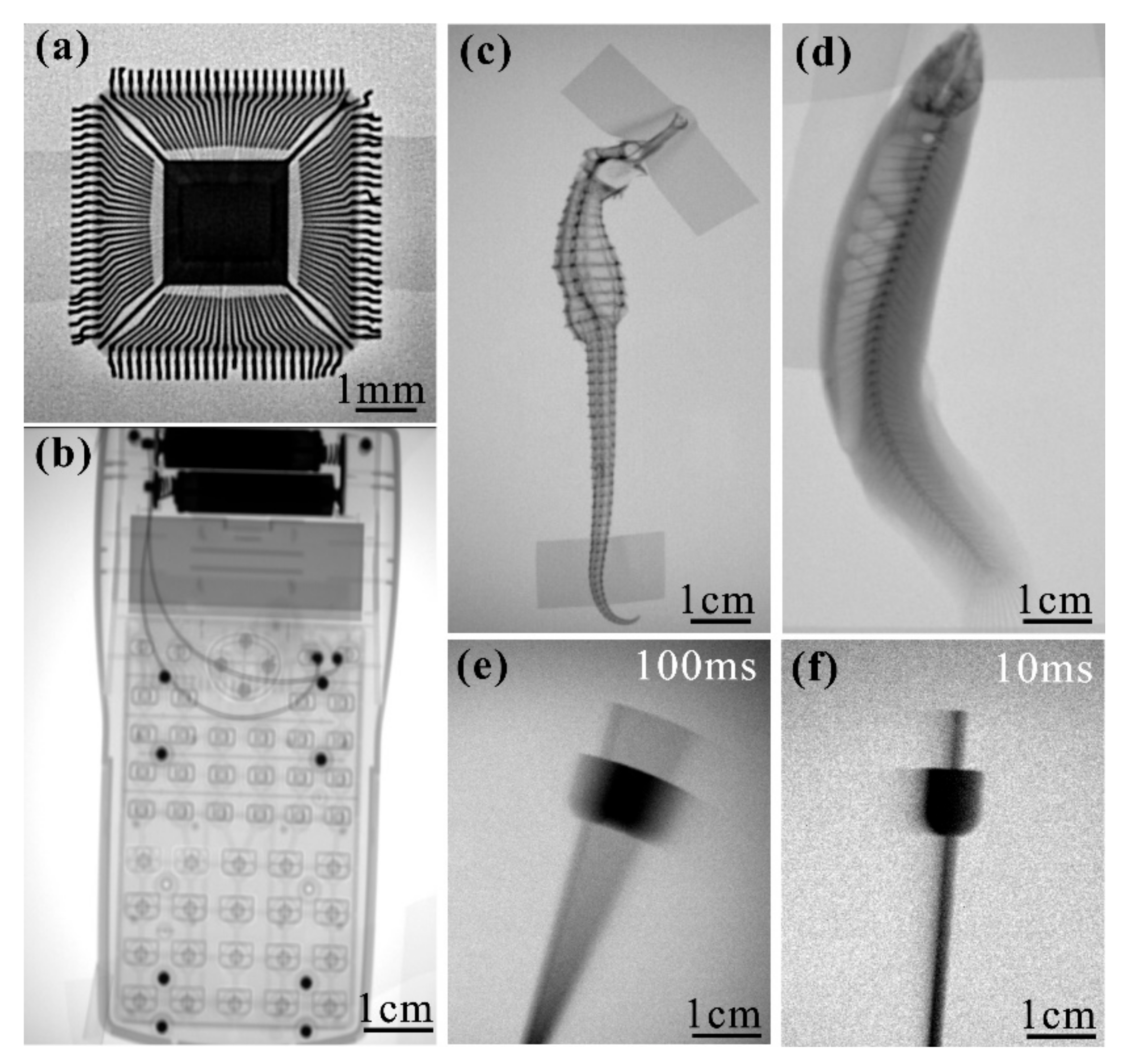Nanomaterials 11 00240 g010 Nanomaterials 11 00240 g010