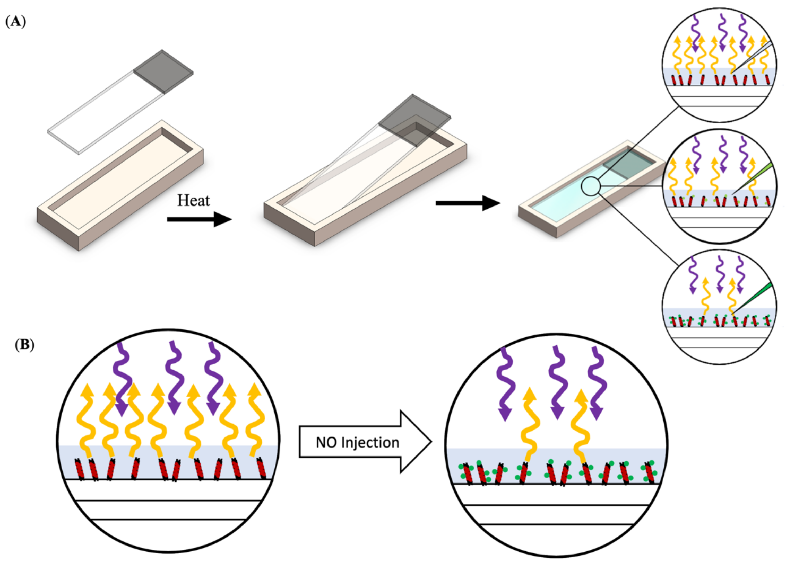 Nanomaterials 11 00243 g001