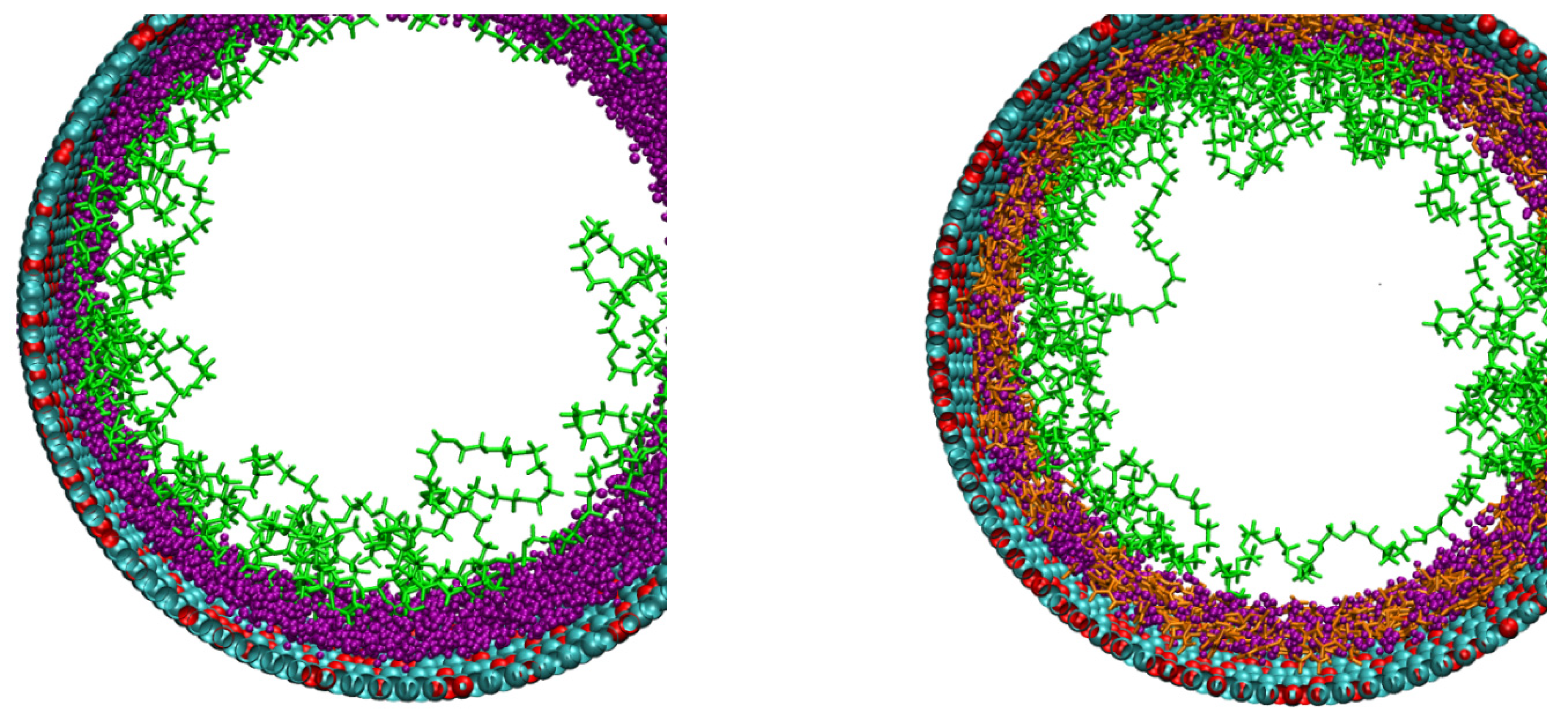 Nanomaterials 11 00244 g010 Nanomaterials 11 00244 g010