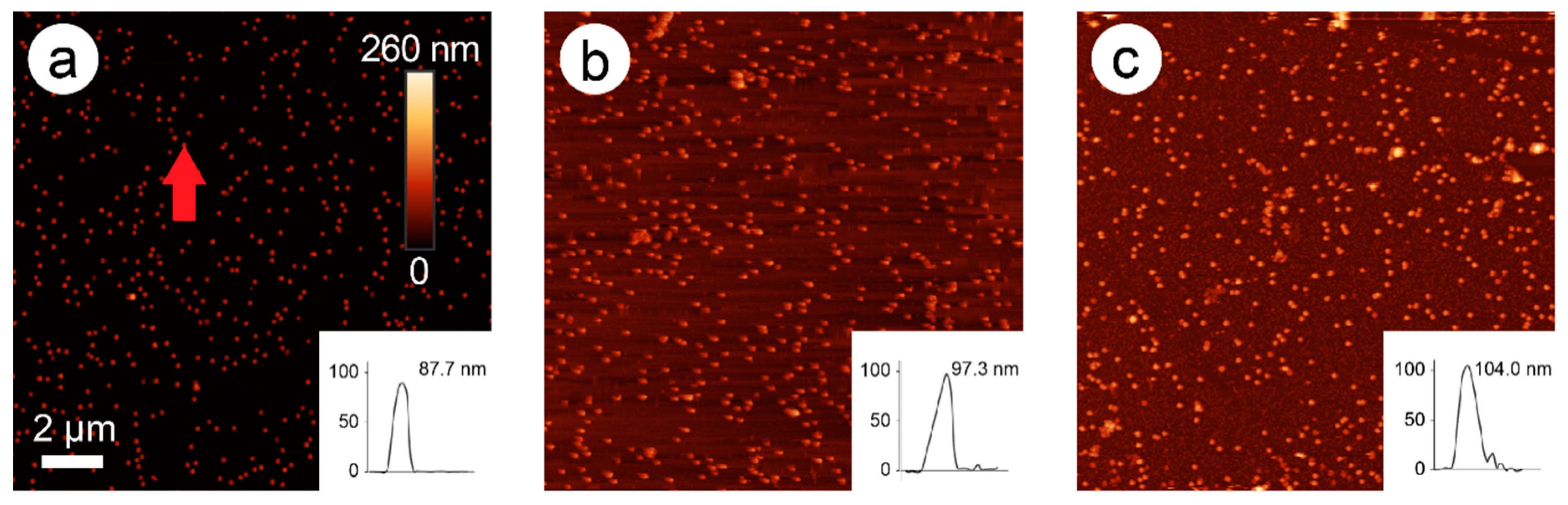 Nanomaterials 11 00245 g002 Nanomaterials 11 00245 g002