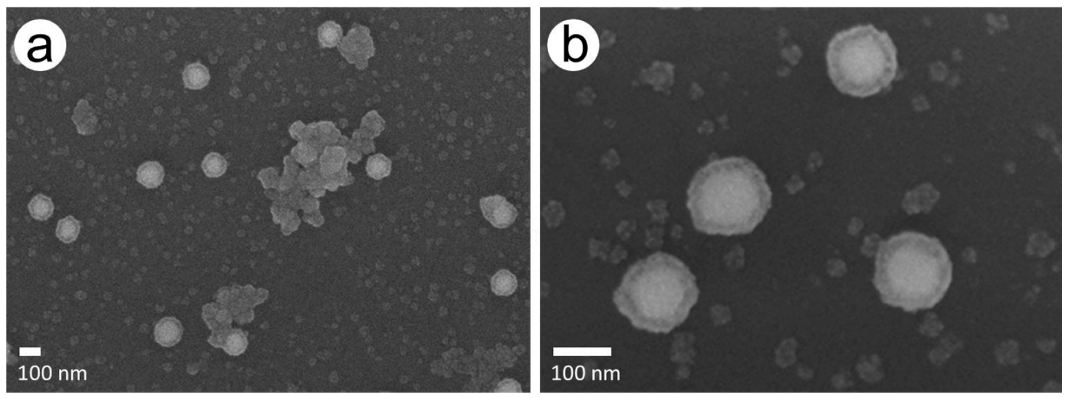 Nanomaterials 11 00245 g003 Nanomaterials 11 00245 g003