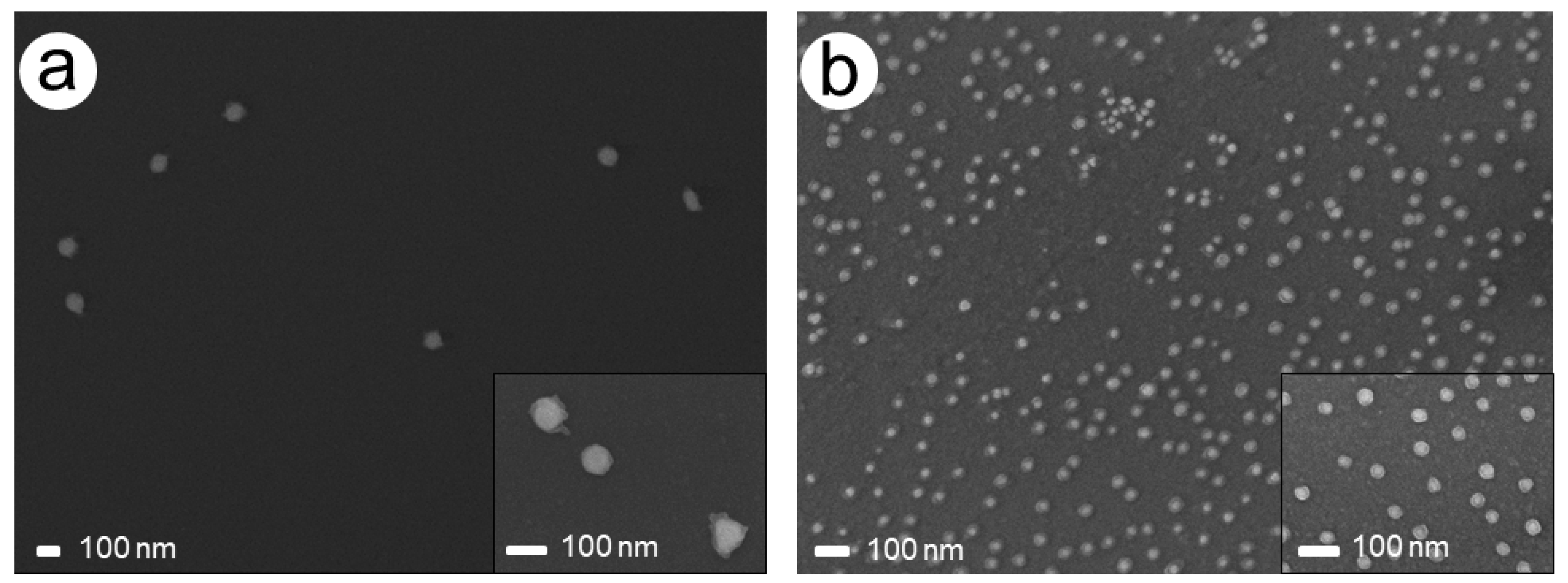 Nanomaterials 11 00245 g008 Nanomaterials 11 00245 g008