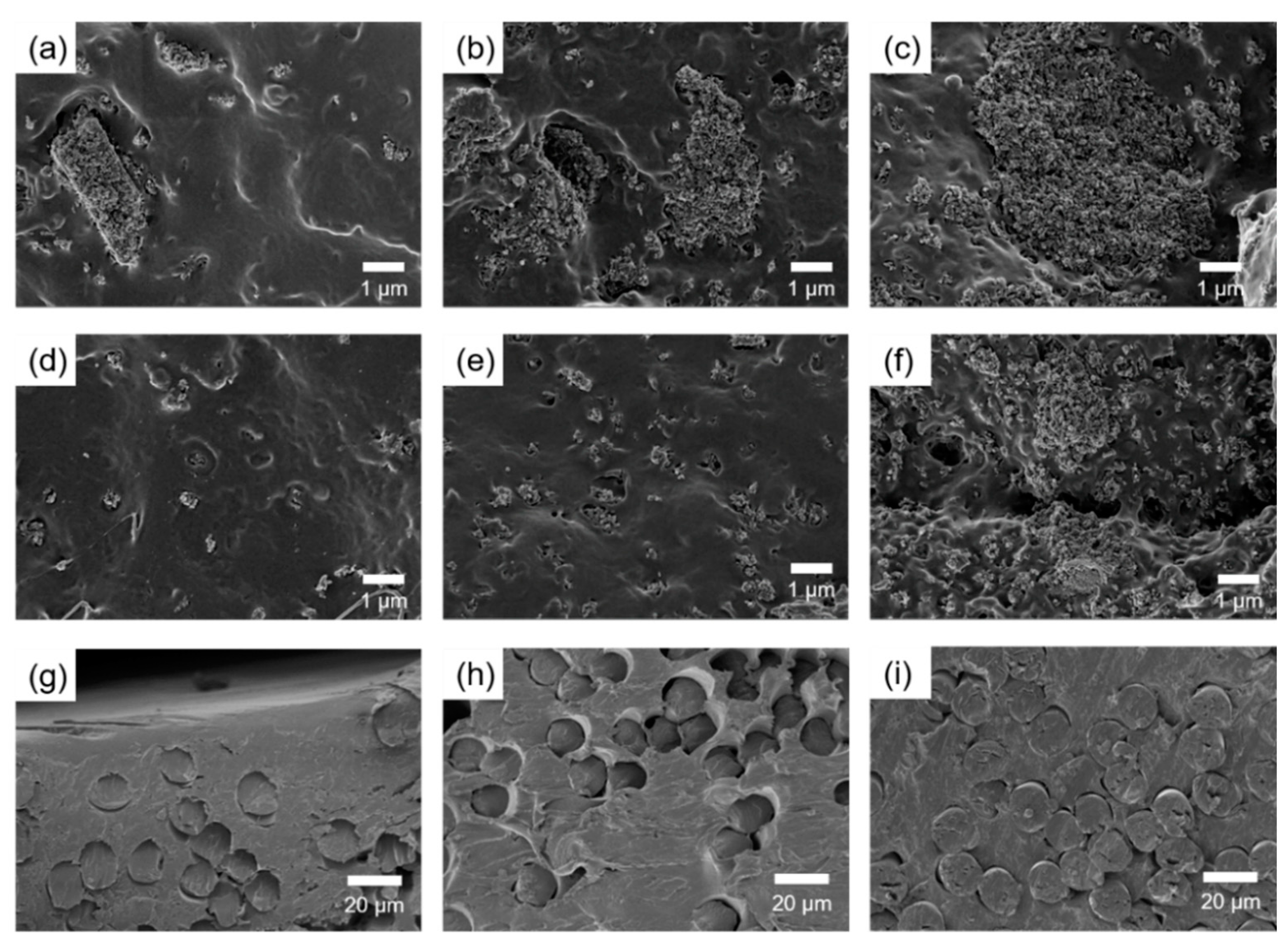 Nanomaterials 11 00249 g002