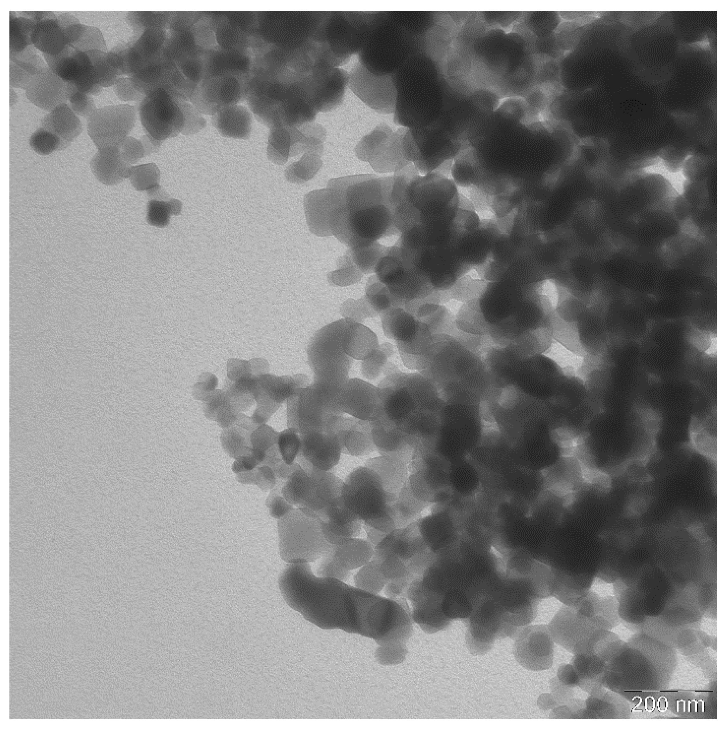 Nanomaterials 11 00250 g001