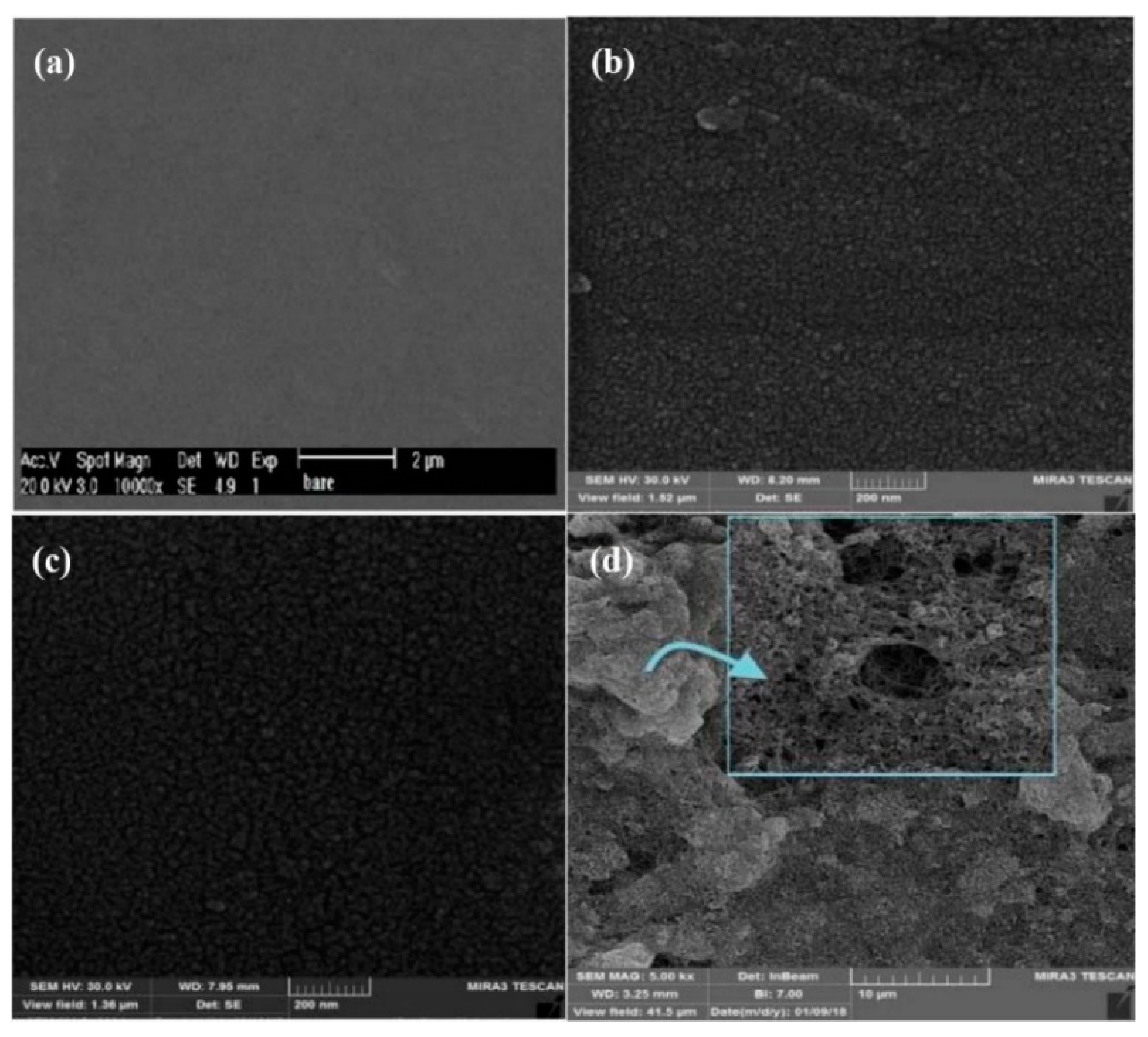 Nanomaterials 11 00252 g018 Nanomaterials 11 00252 g018