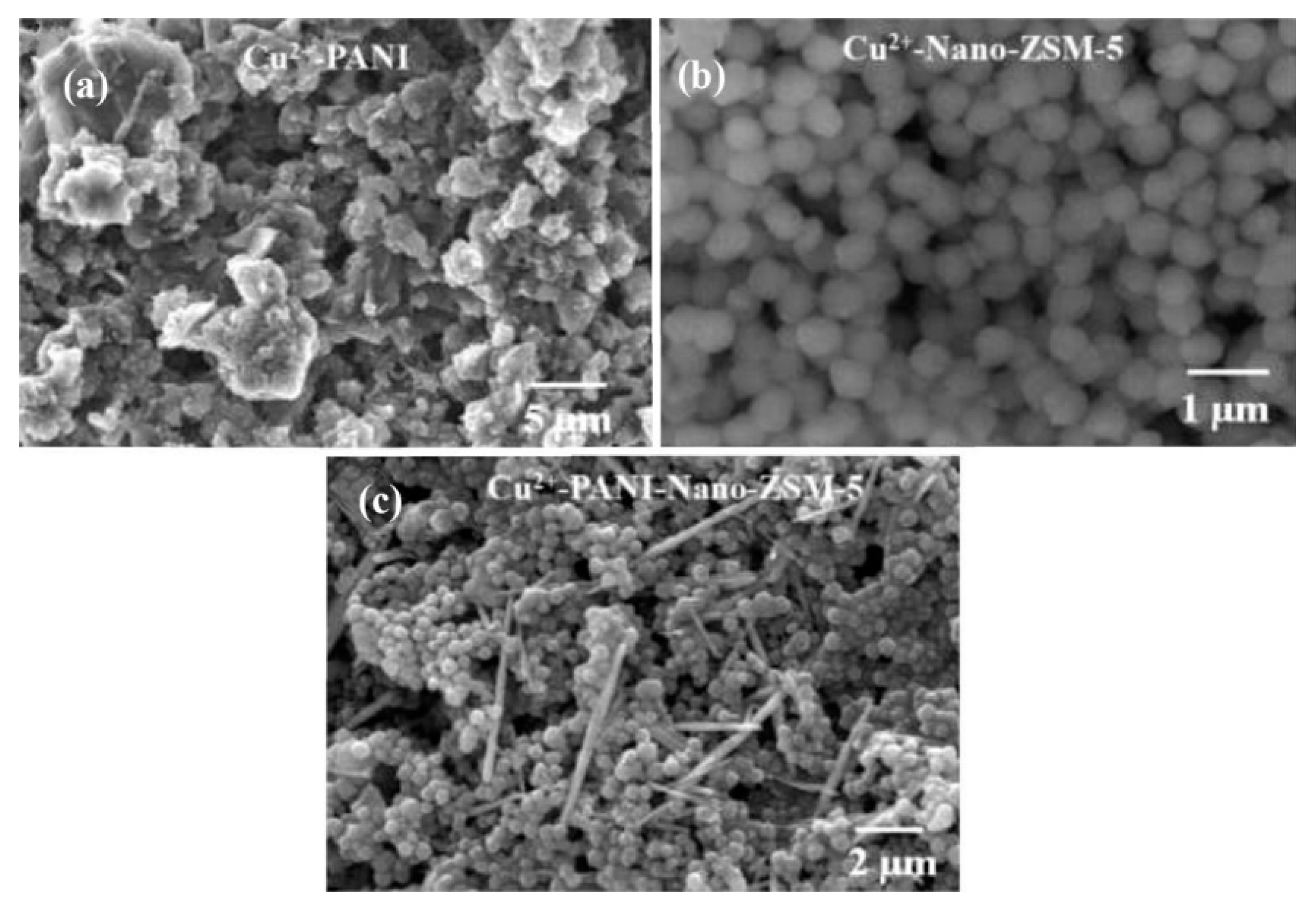 Nanomaterials 11 00252 g022 Nanomaterials 11 00252 g022
