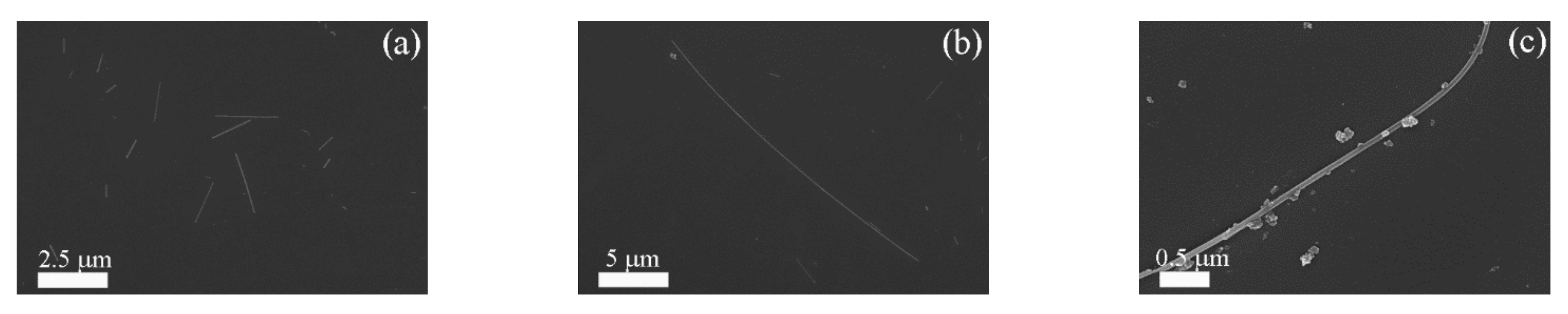 Nanomaterials 11 00254 g001 Nanomaterials 11 00254 g001
