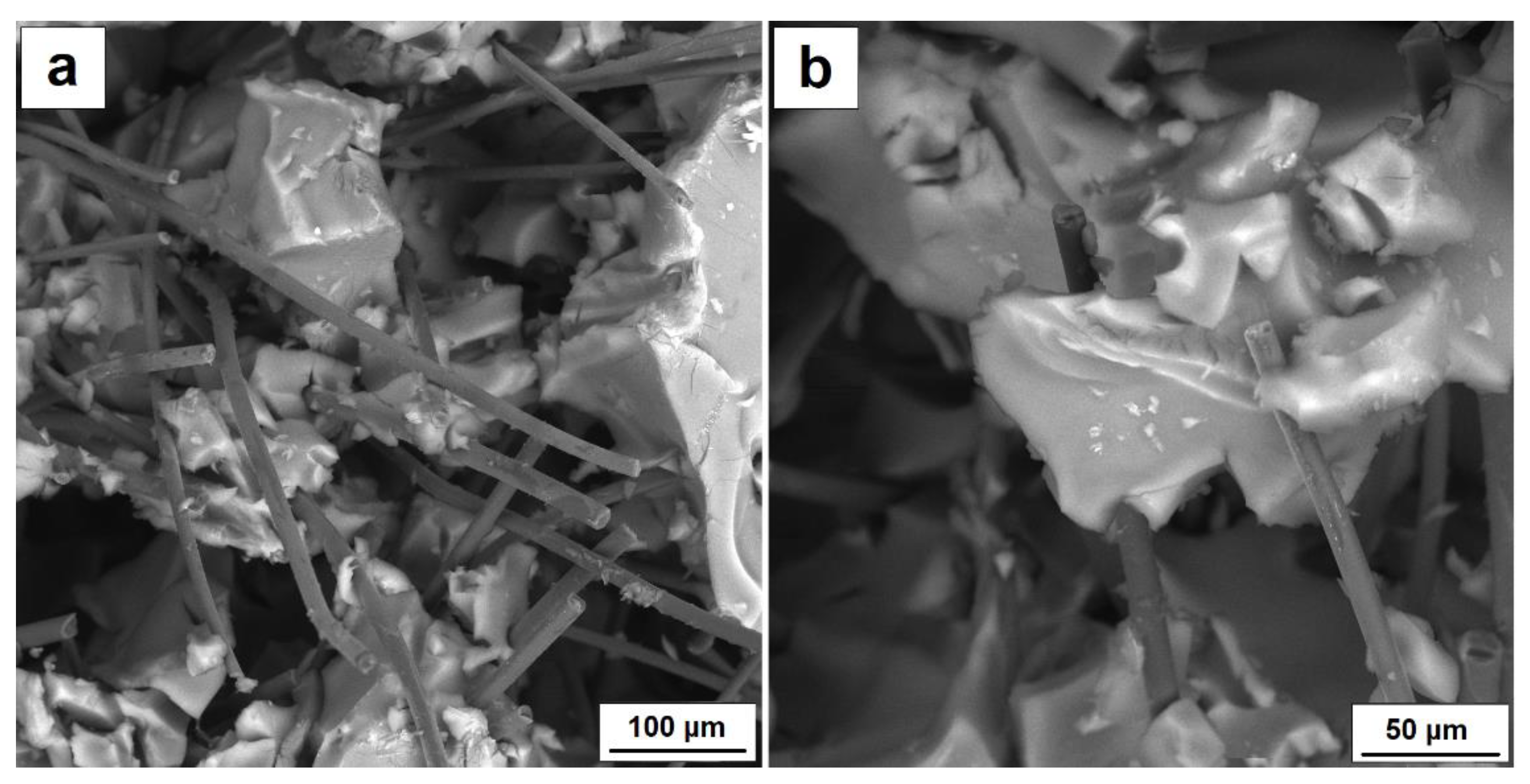 Nanomaterials 11 00258 g006