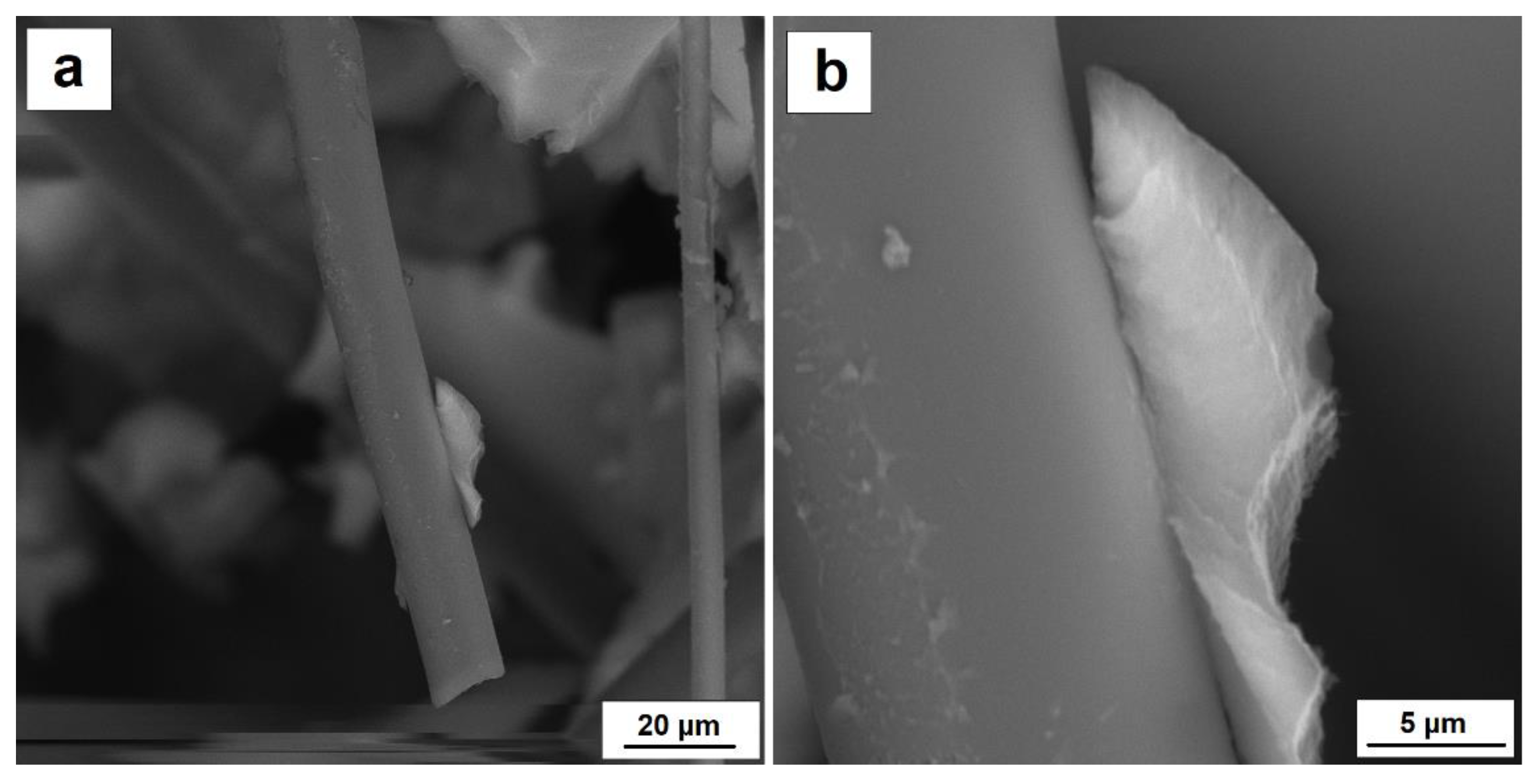 Nanomaterials 11 00258 g007