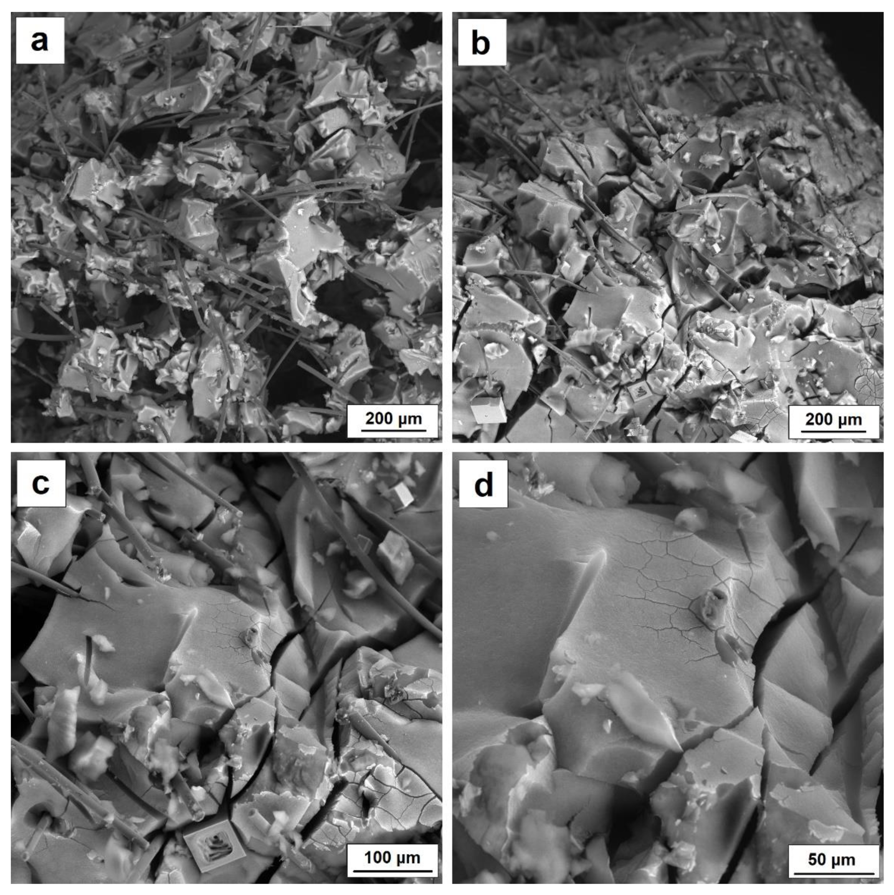Nanomaterials 11 00258 g008