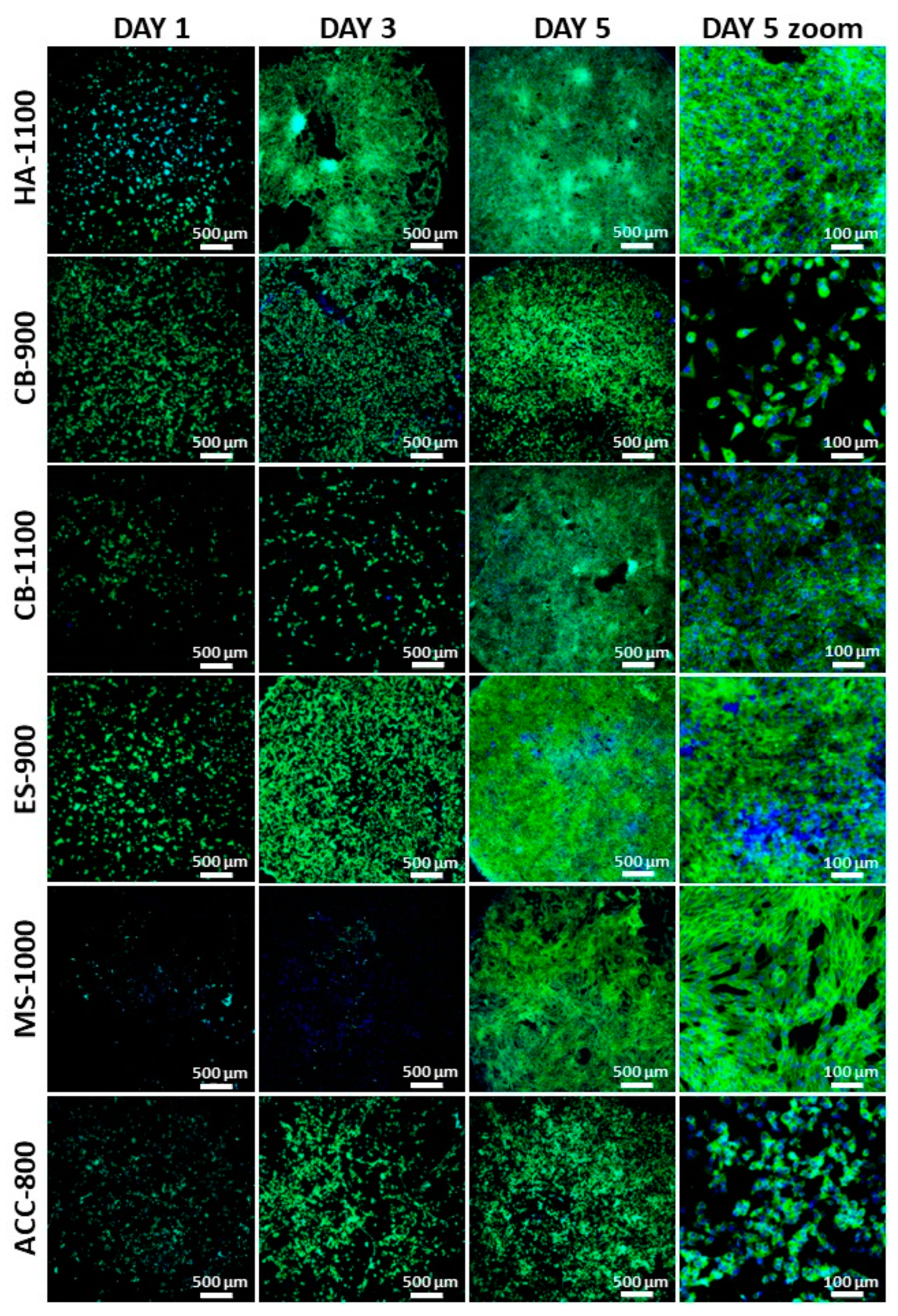 Nanomaterials 11 00264 g005