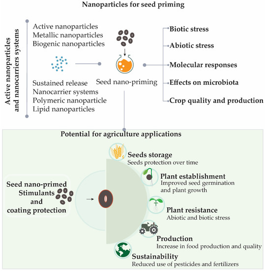 Nanomaterials 11 00267 g001 550