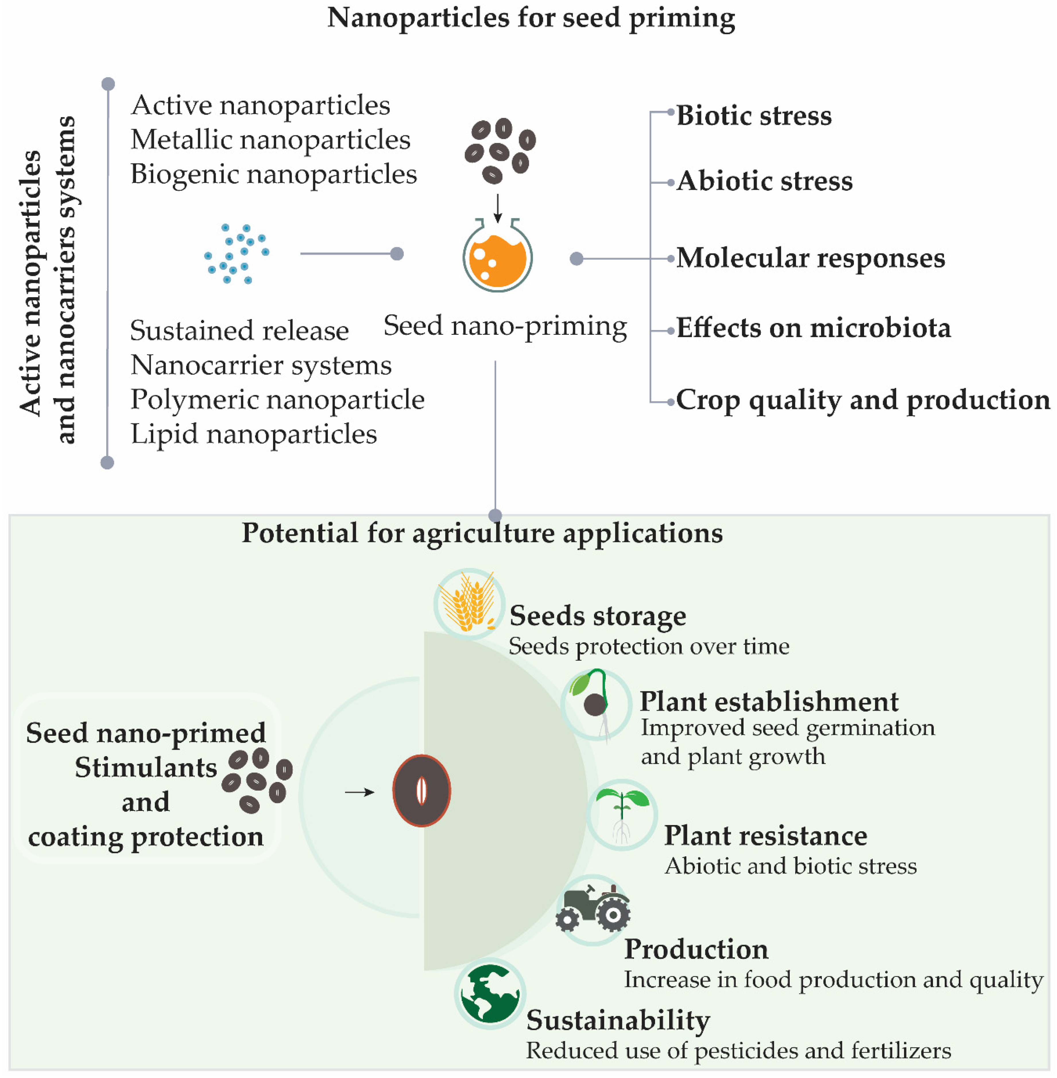 Nanomaterials Free Full Text Nanotechnology Potential In Seed Priming For Sustainable Agriculture Html Nanomaterials Free Full Text Nanotechnology Potential In Seed Priming For Sustainable Agriculture Html