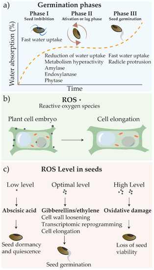 Nanomaterials 11 00267 g002 550