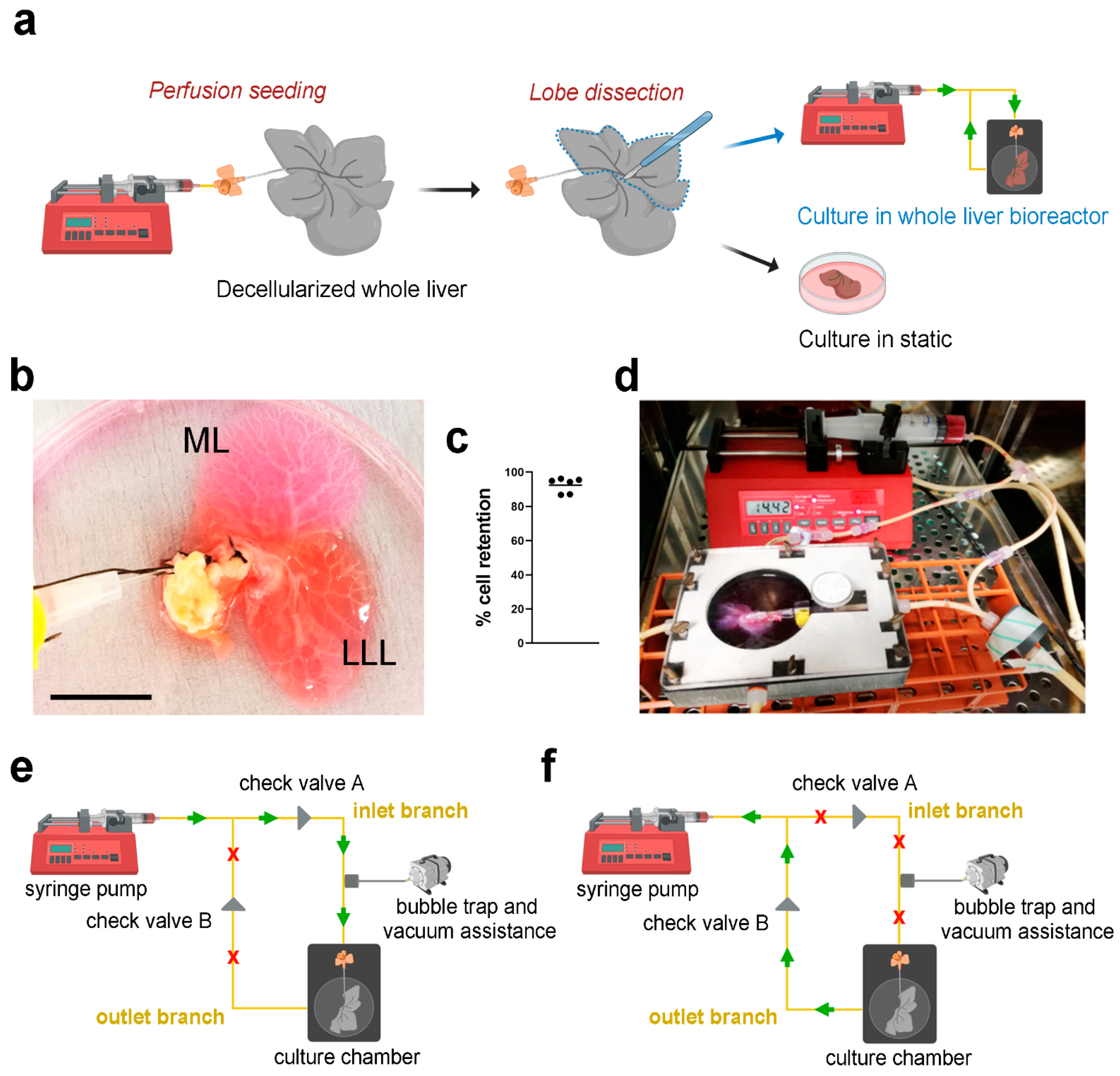 Nanomaterials 11 00275 g003