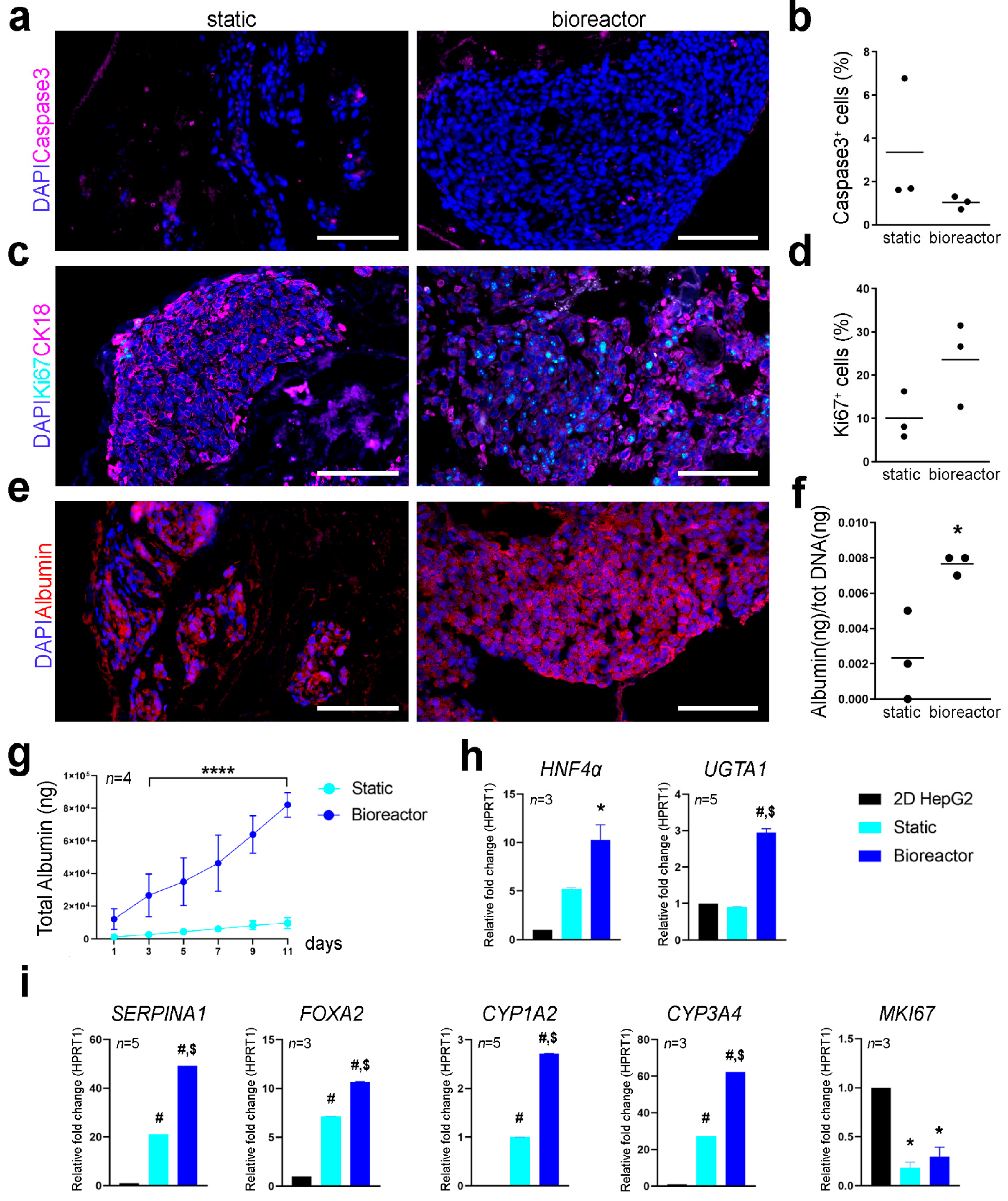 Nanomaterials 11 00275 g005