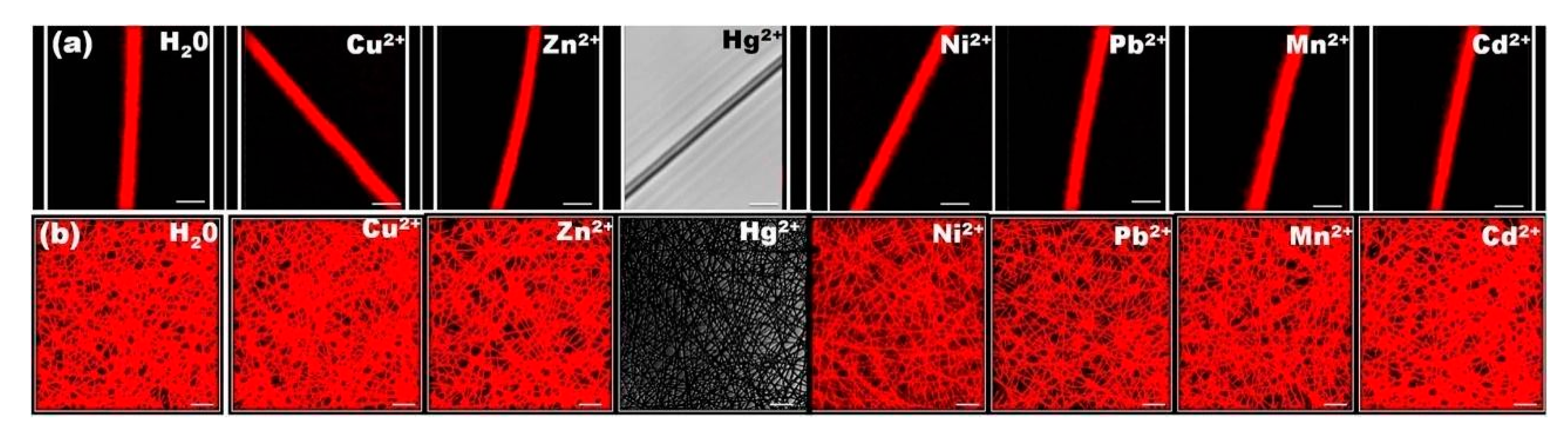 Nanomaterials 11 00276 g005 Nanomaterials 11 00276 g005