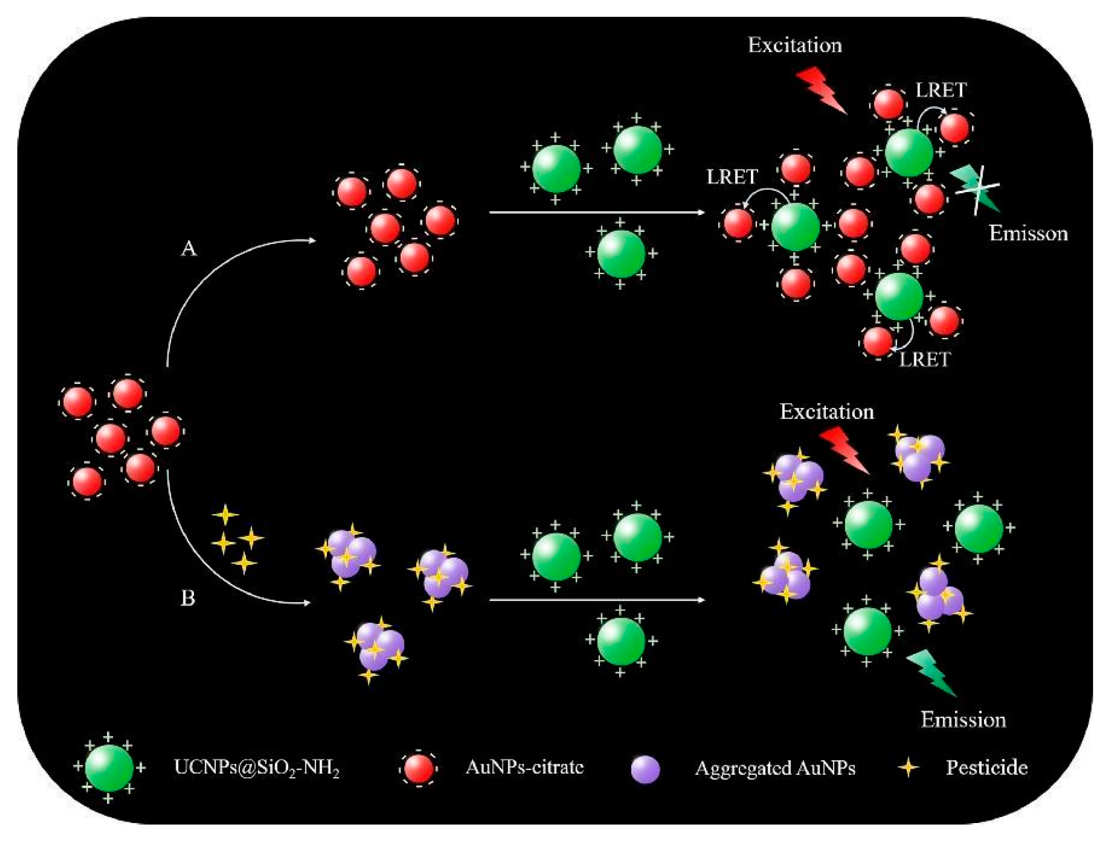 Nanomaterials 11 00276 g007 Nanomaterials 11 00276 g007
