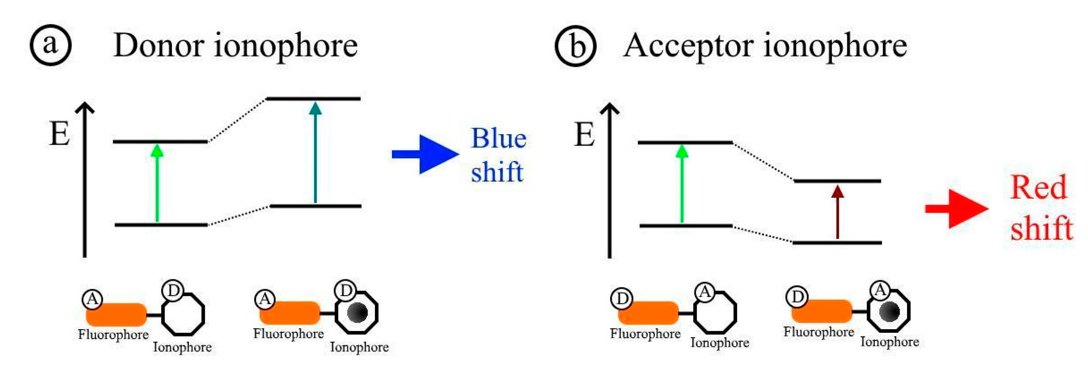 Nanomaterials 11 00276 sch002 Nanomaterials 11 00276 sch002