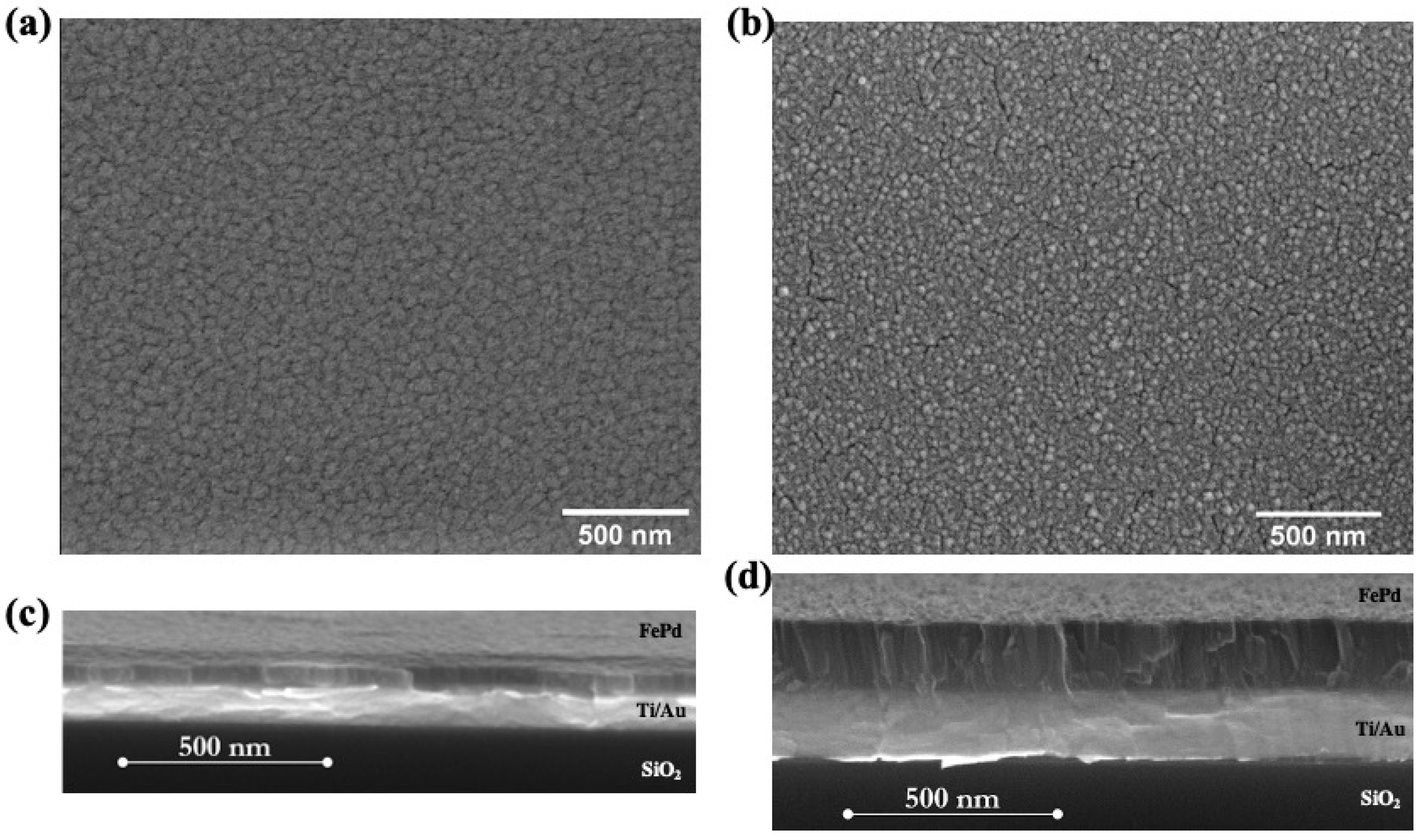 Nanomaterials 11 00282 g002 Nanomaterials 11 00282 g002