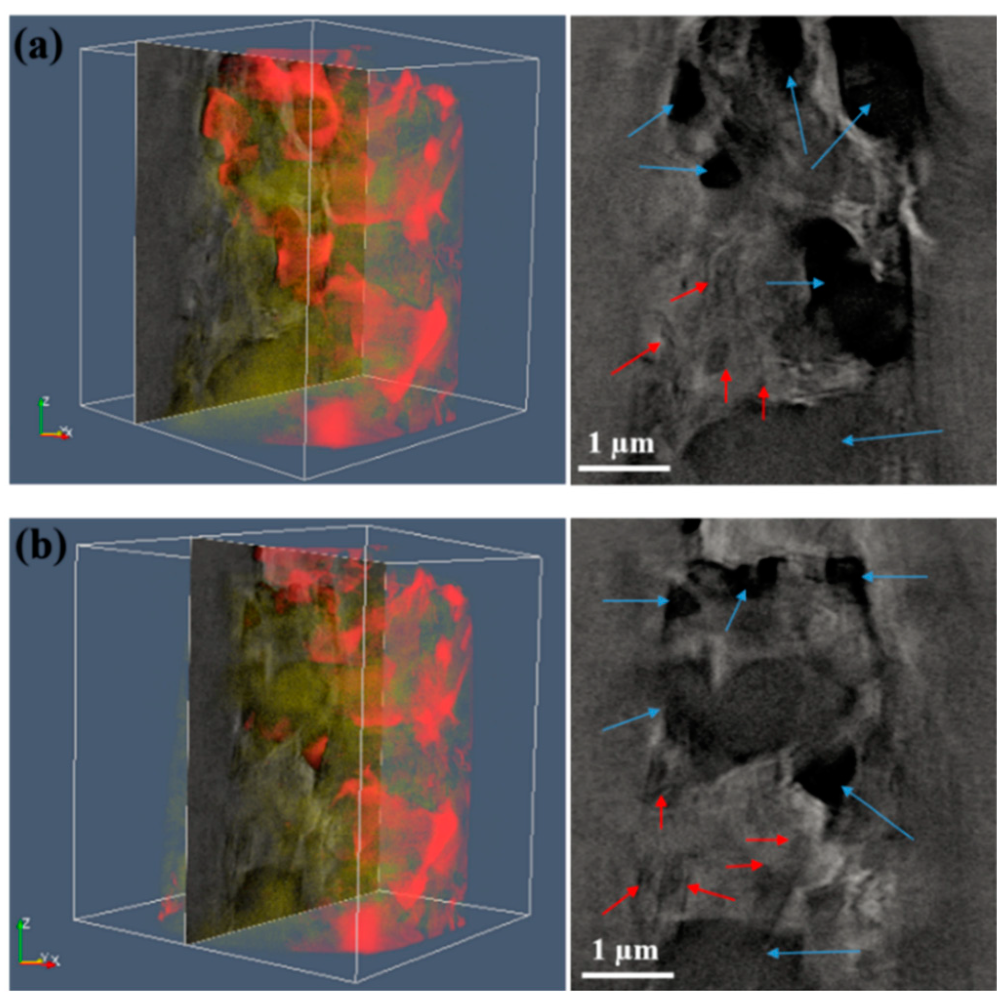 Nanomaterials 11 00285 g001 Nanomaterials 11 00285 g001
