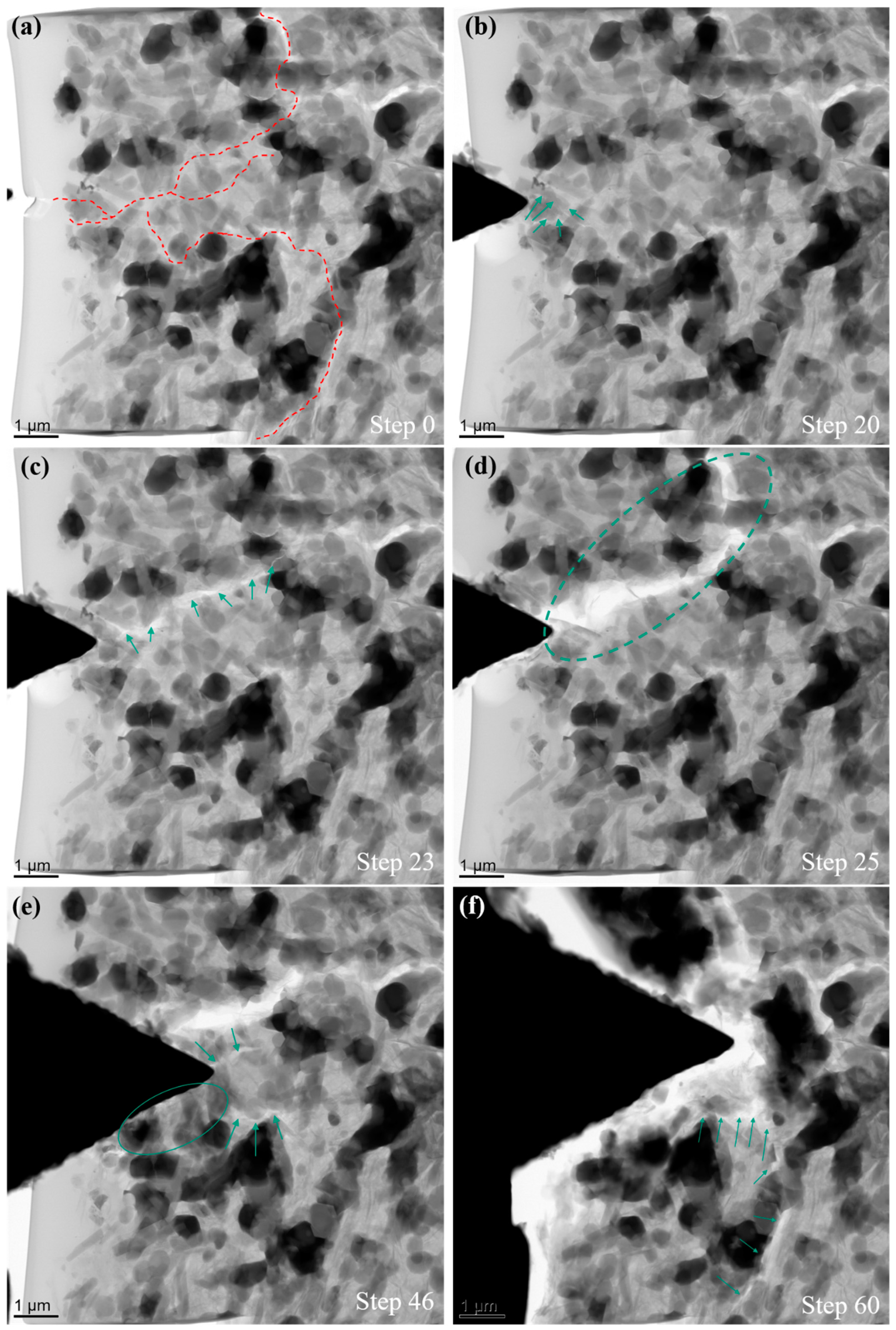 Nanomaterials 11 00285 g007 Nanomaterials 11 00285 g007