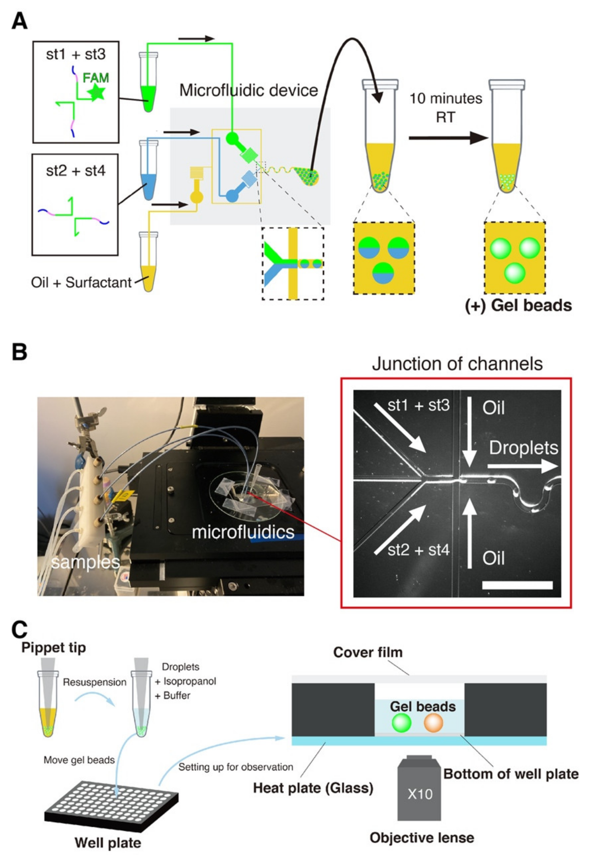 Nanomaterials 11 00293 g002 Nanomaterials 11 00293 g002