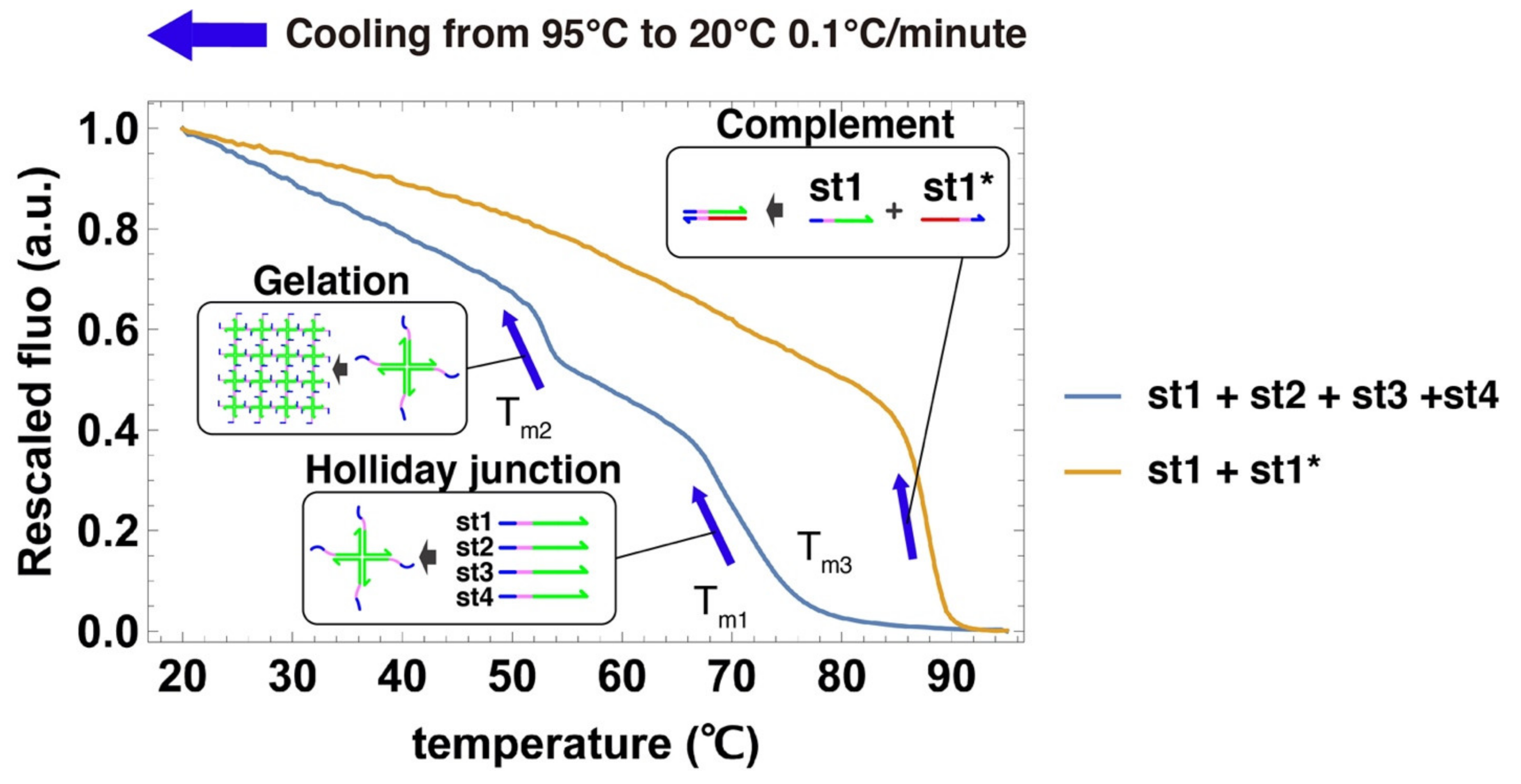 Nanomaterials 11 00293 g004 Nanomaterials 11 00293 g004