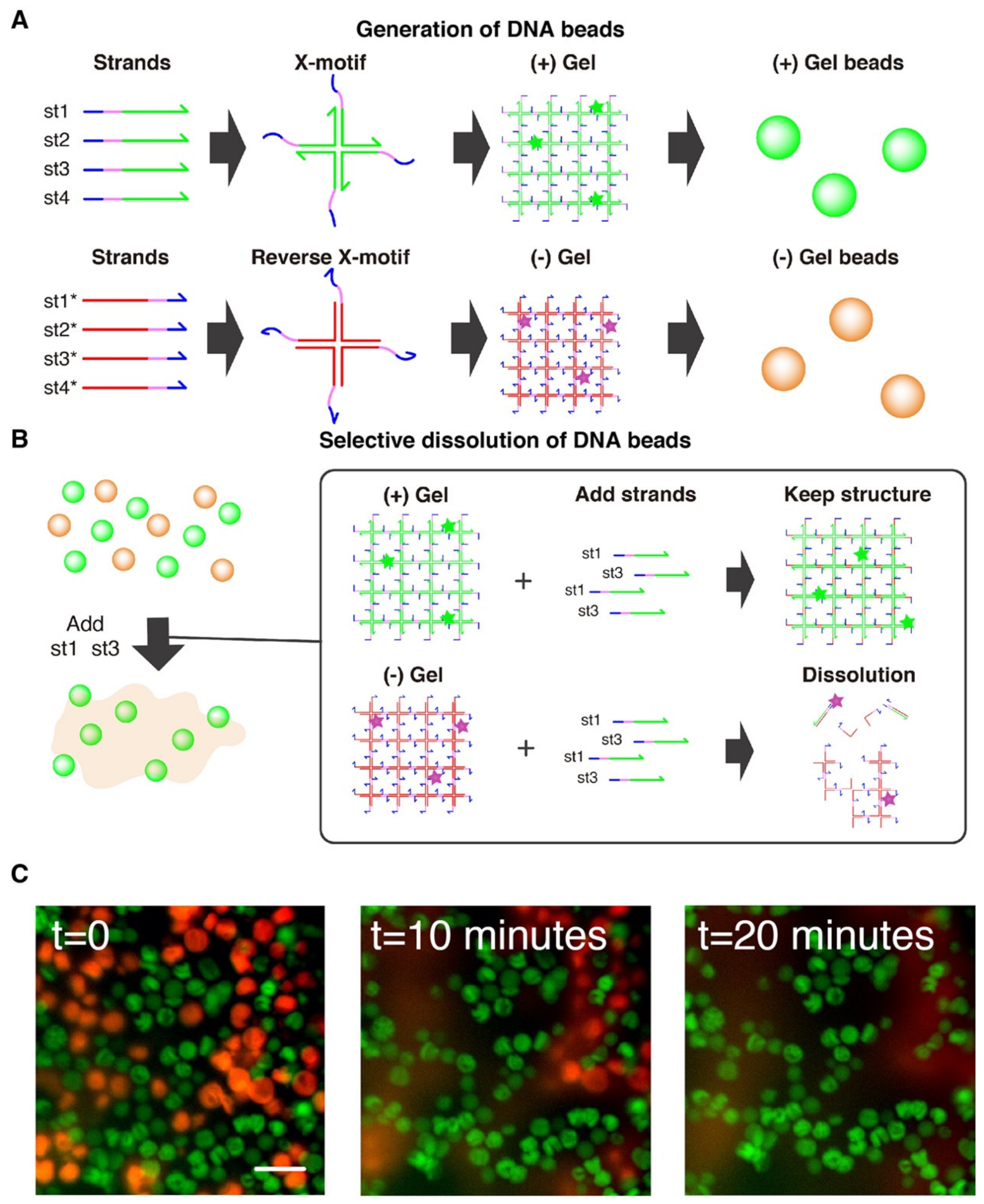 Nanomaterials 11 00293 g005 Nanomaterials 11 00293 g005