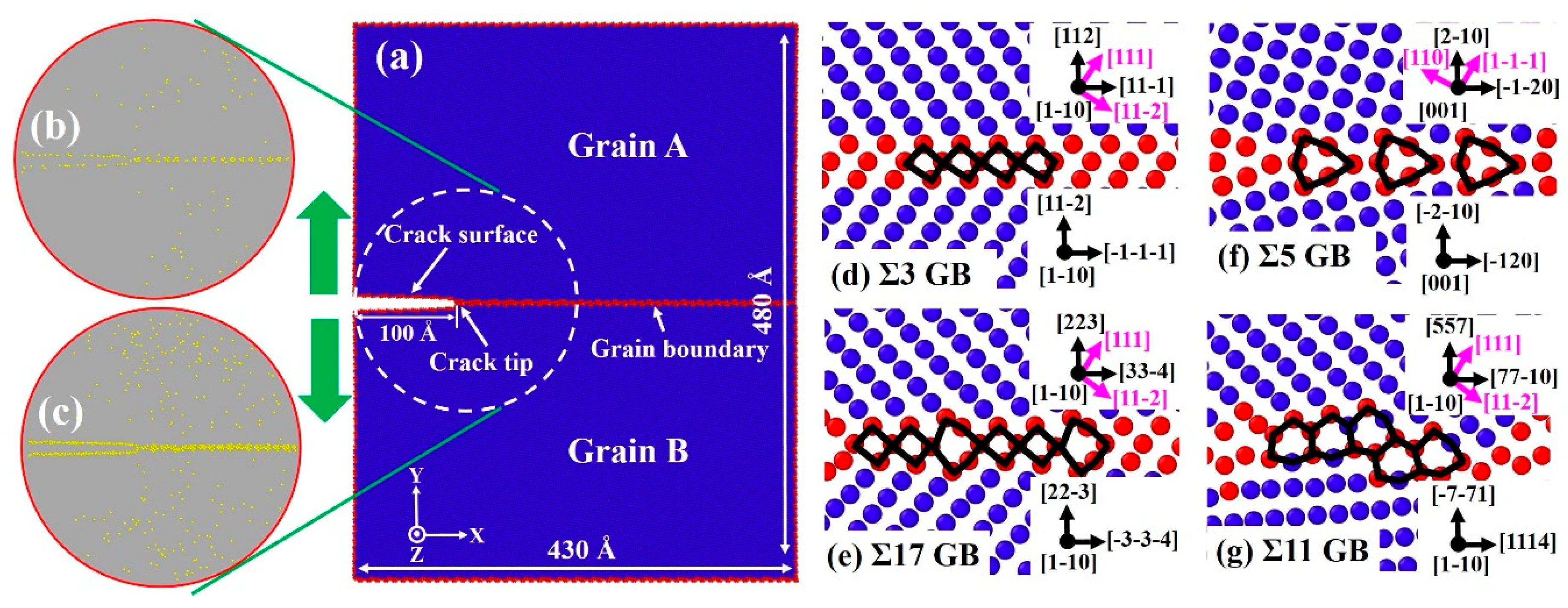 Nanomaterials 11 00294 g001