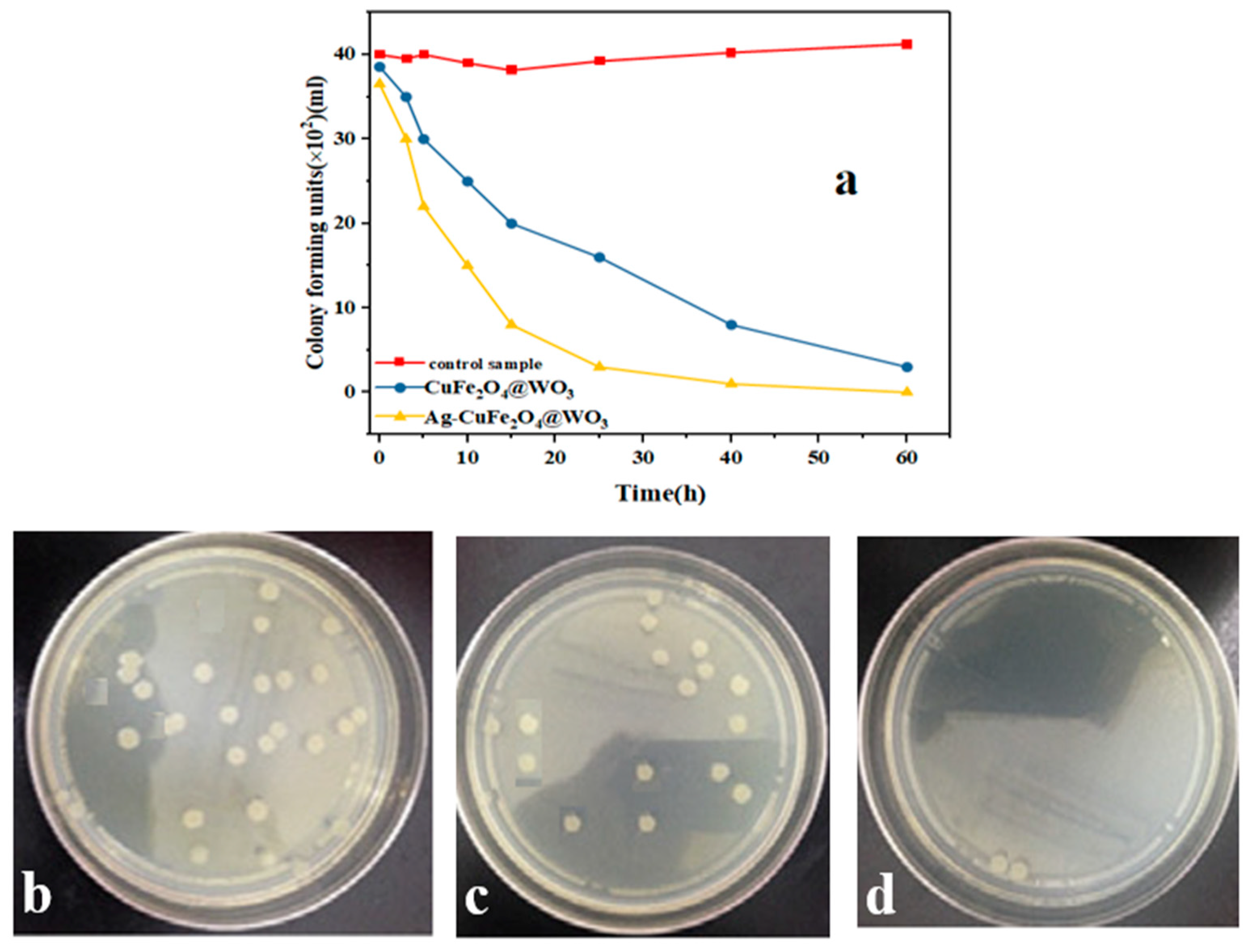 Nanomaterials 11 00298 g010 Nanomaterials 11 00298 g010