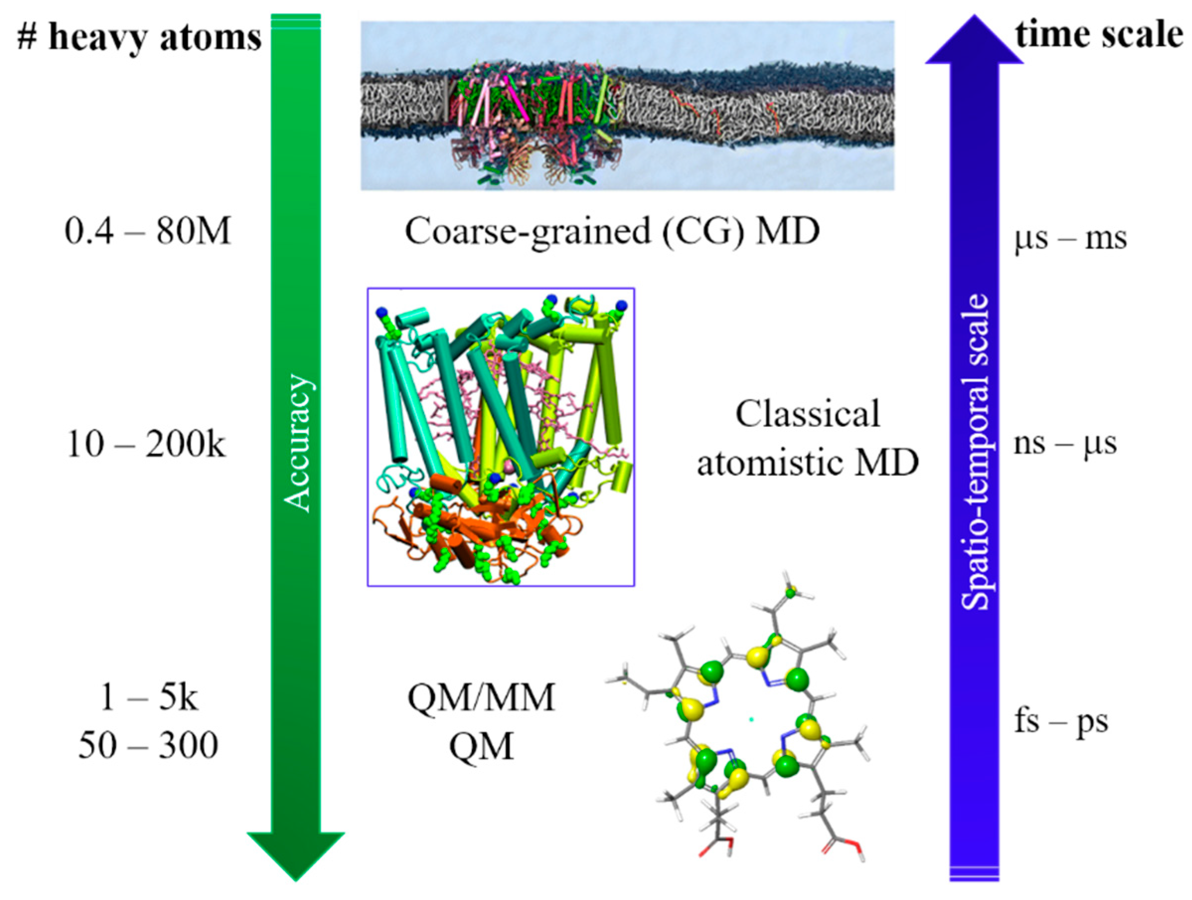Nanomaterials 11 00299 g001