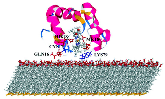 Nanomaterials 11 00299 g012 550