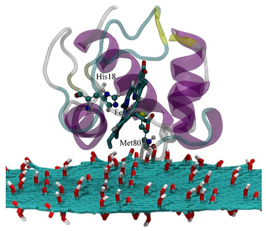 Nanomaterials 11 00299 g014 550
