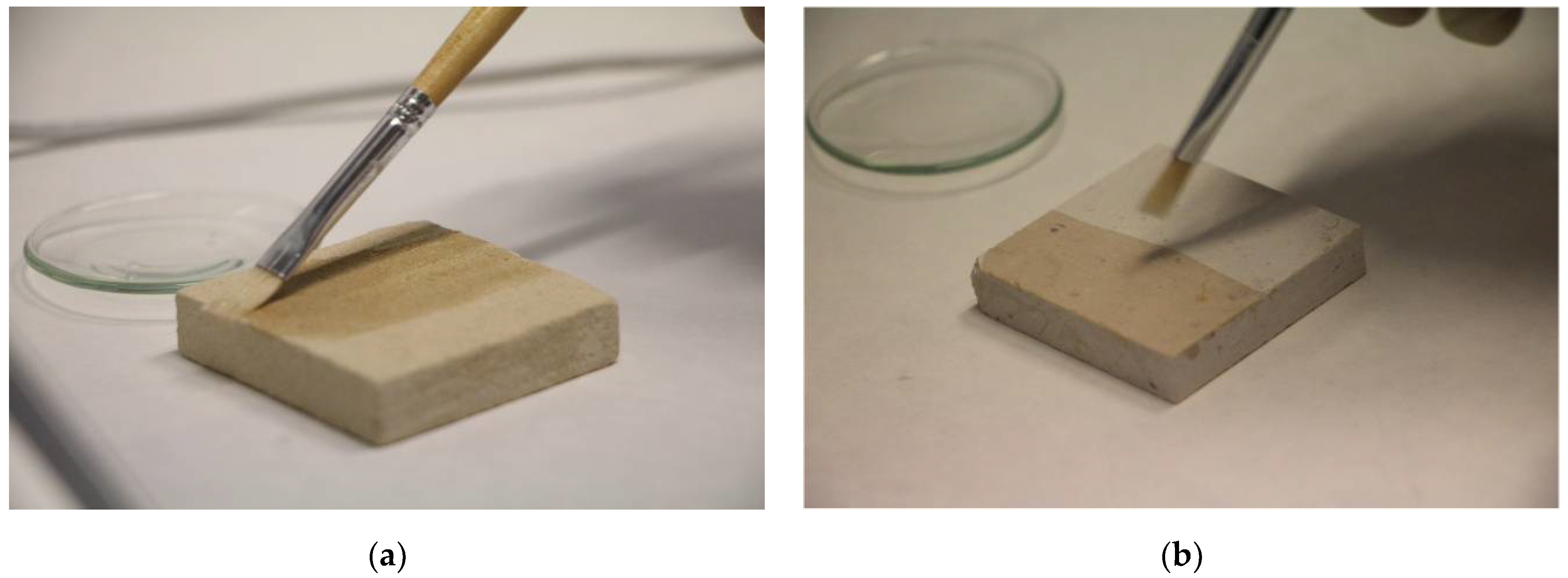 Nanomaterials 11 00301 g001