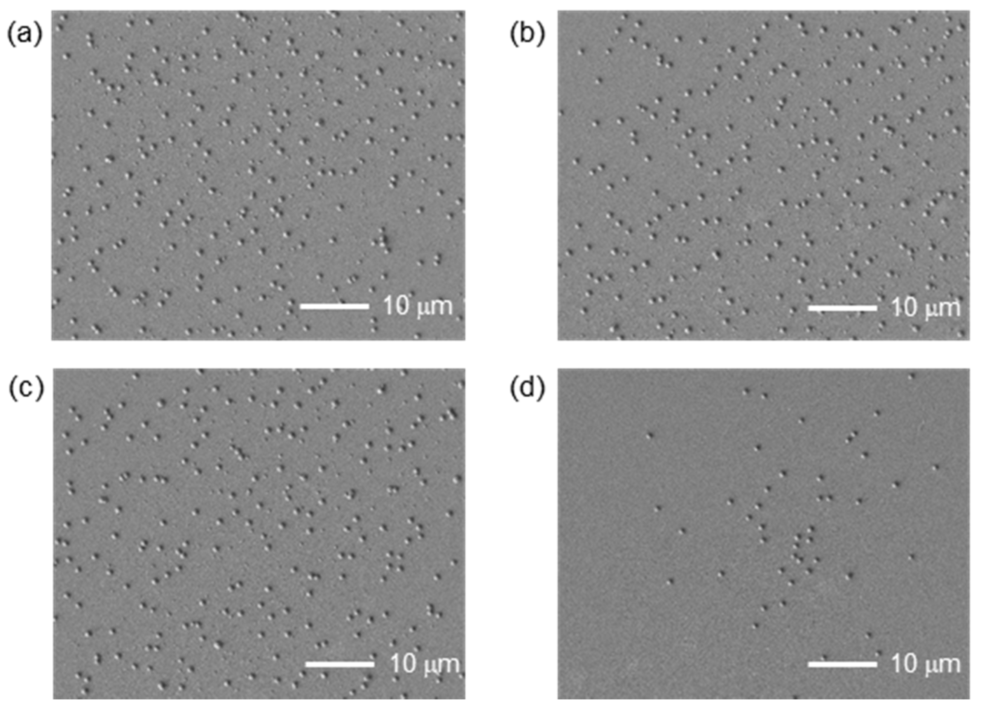 Nanomaterials 11 00305 g004 Nanomaterials 11 00305 g004