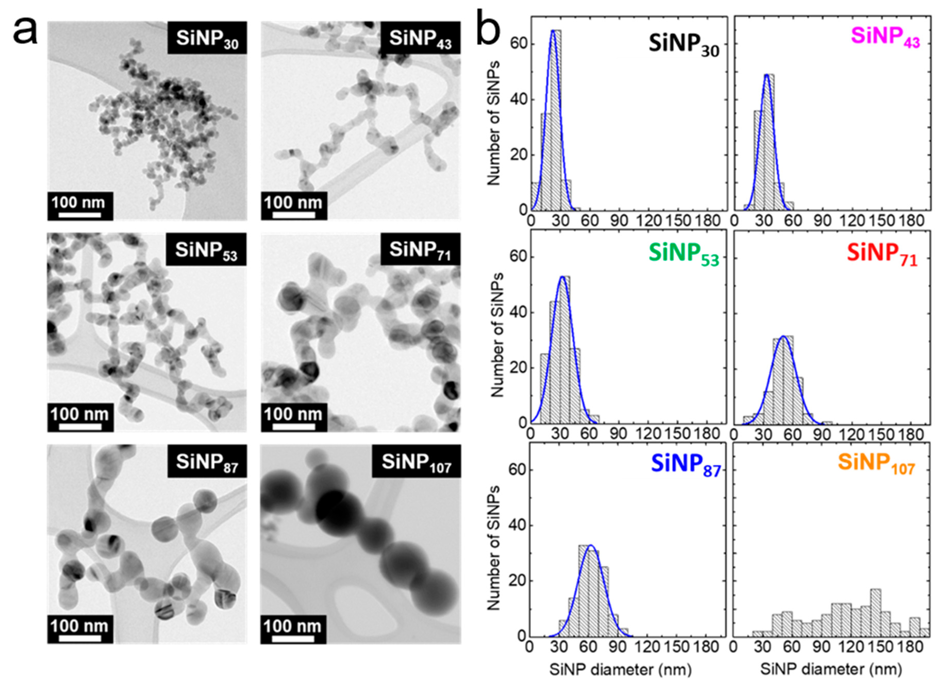 Nanomaterials 11 00307 g001