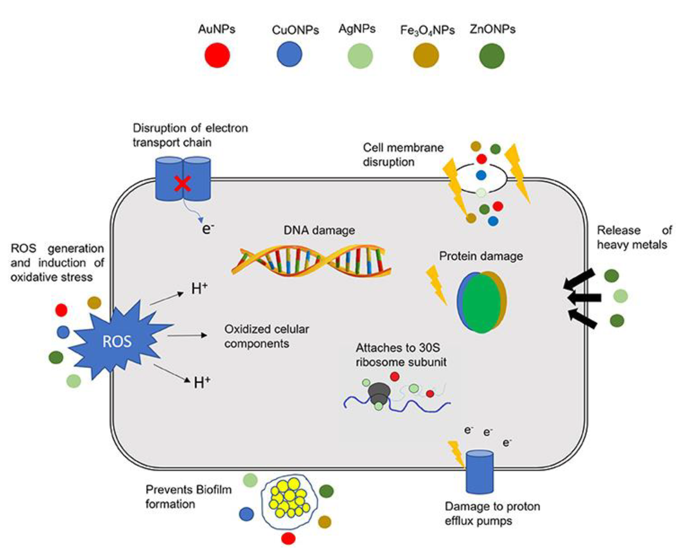 Nanomaterials 11 00312 g002 Nanomaterials 11 00312 g002