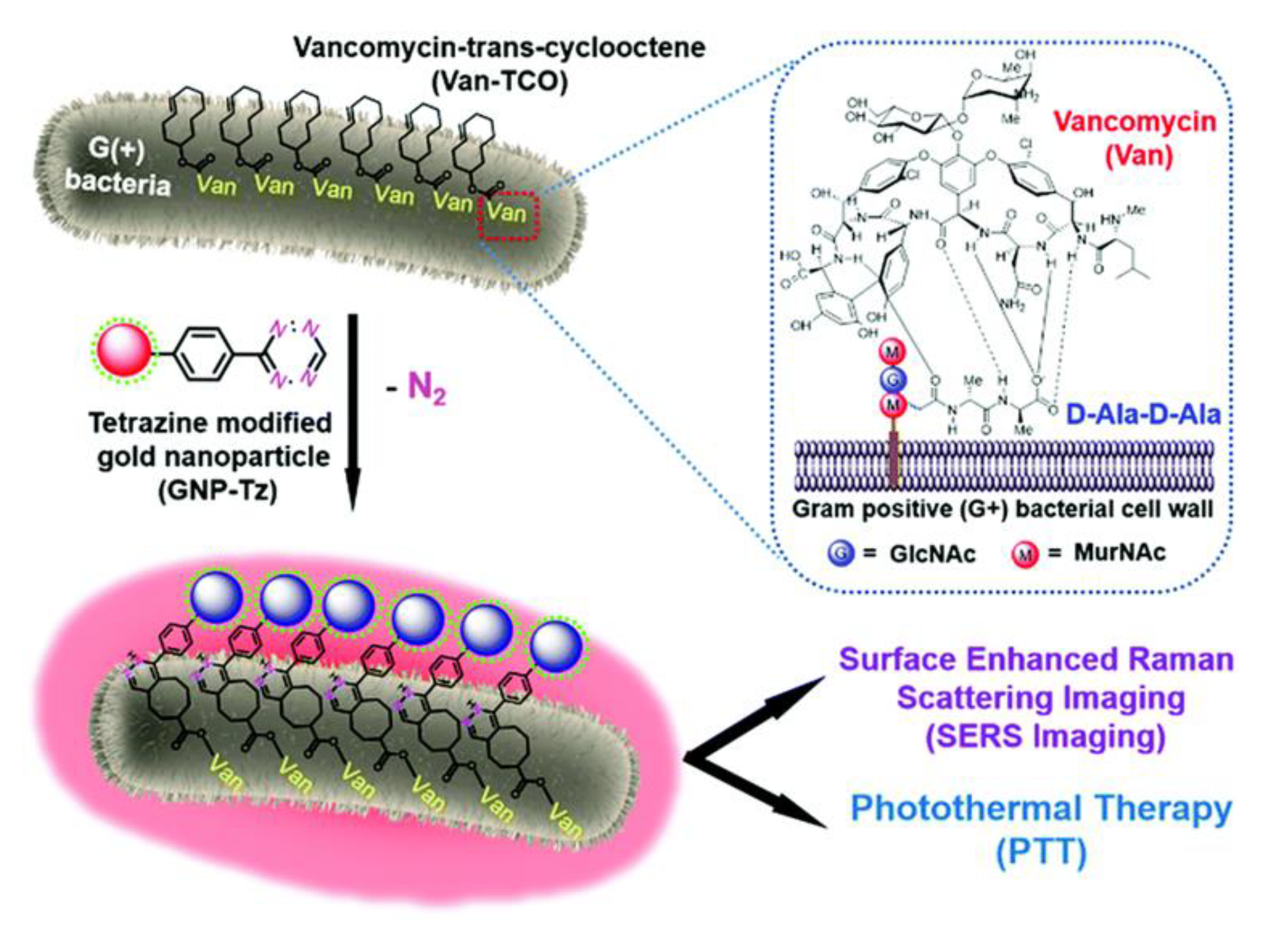 Nanomaterials 11 00312 g007 Nanomaterials 11 00312 g007